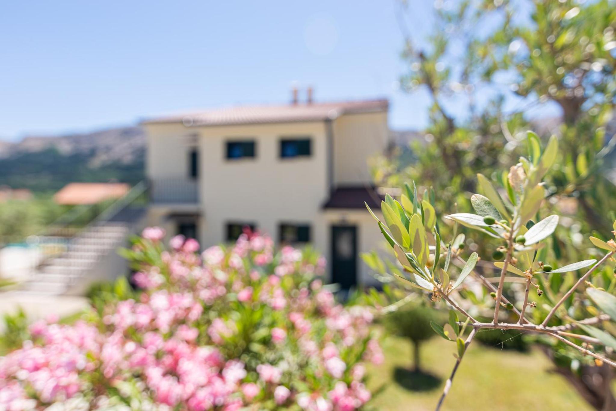 Apartments Garden