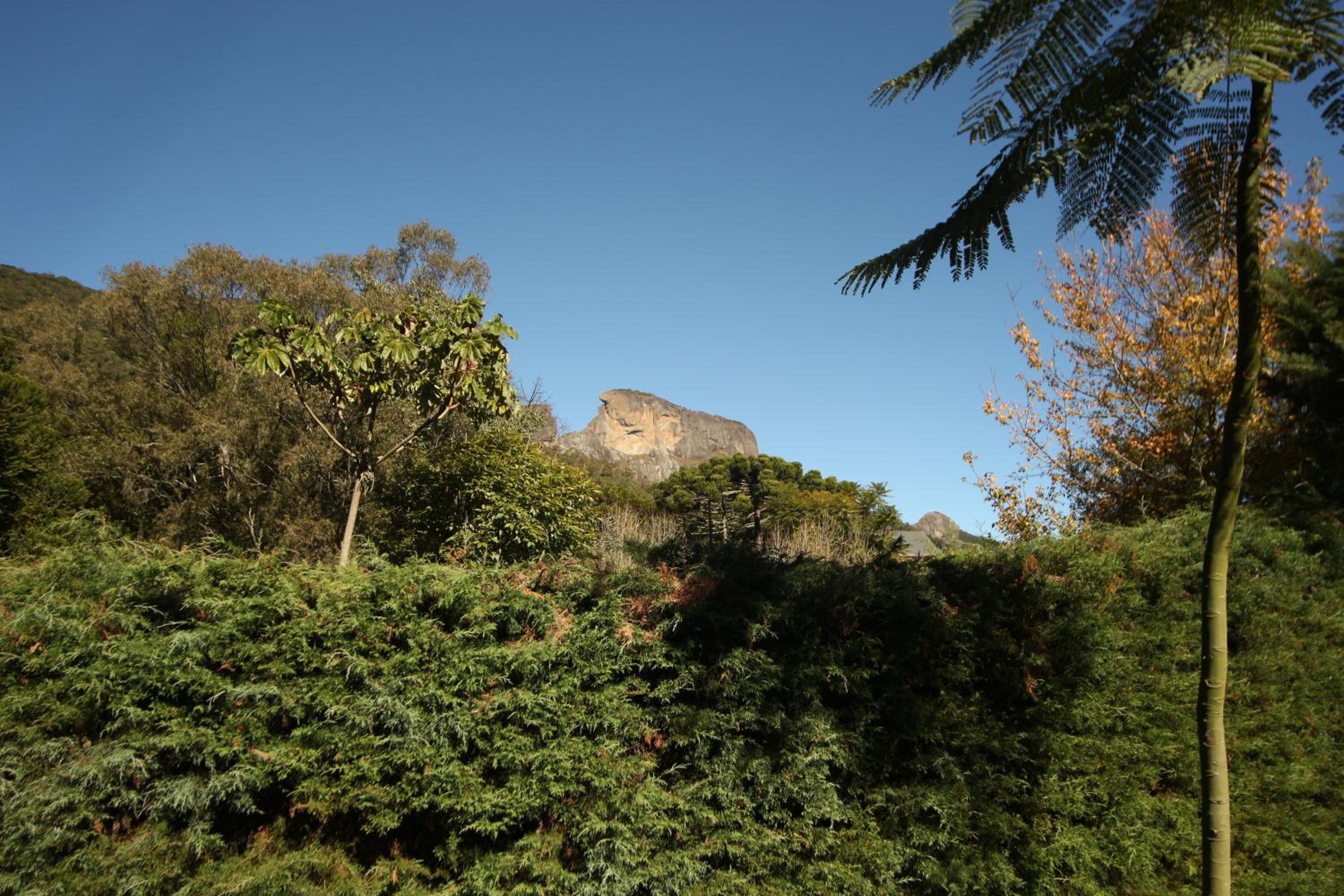 Photo 35