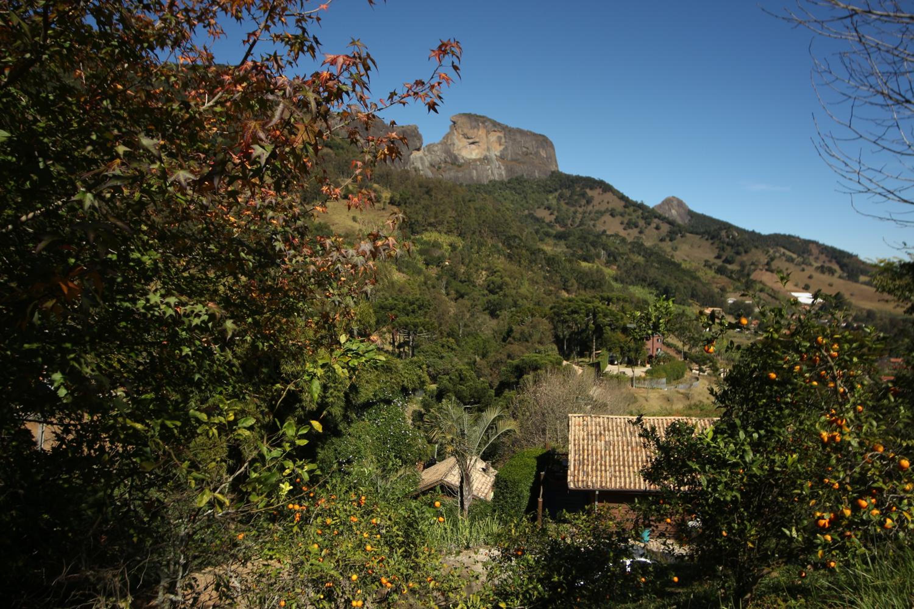 Photo 38