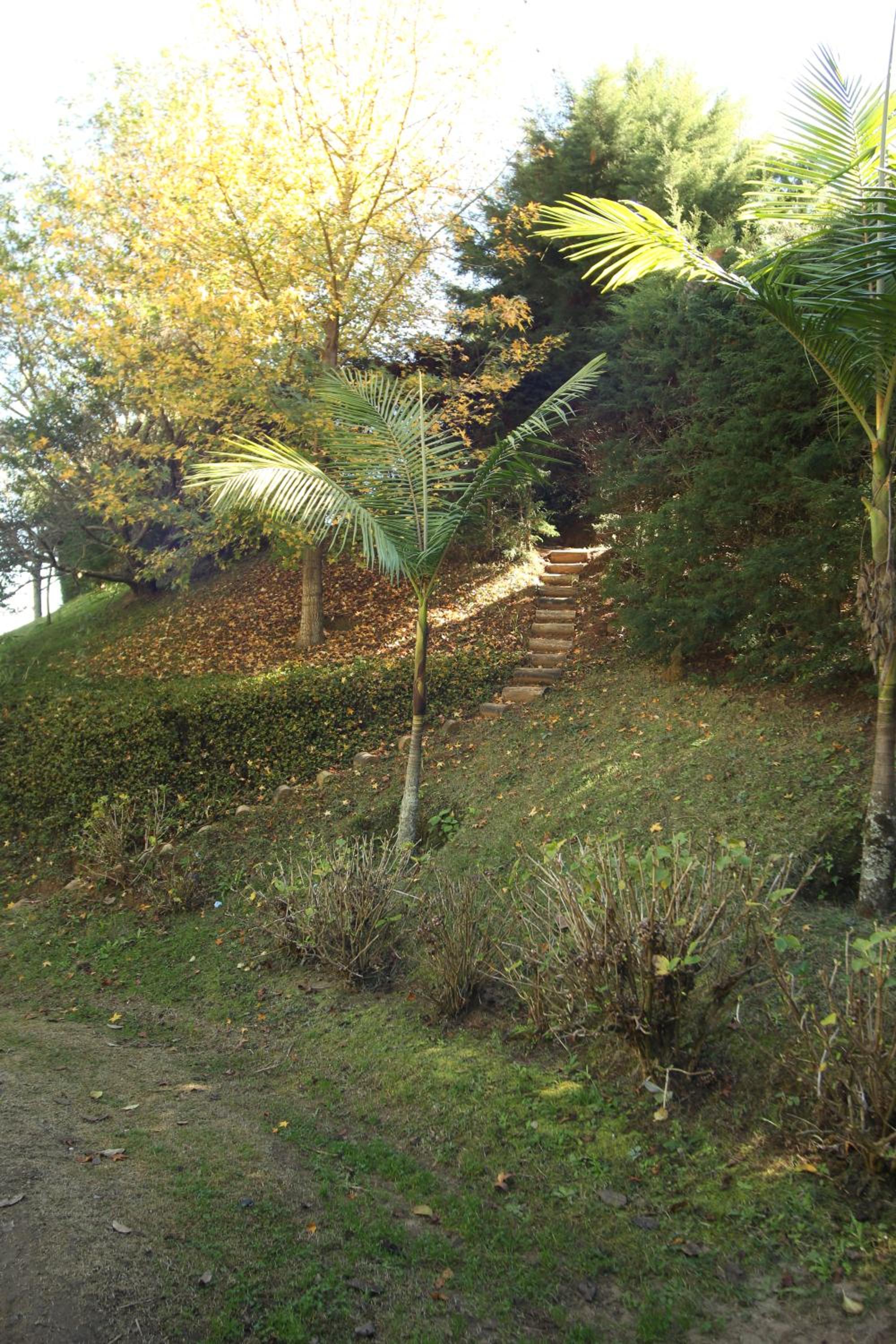 Photo 43