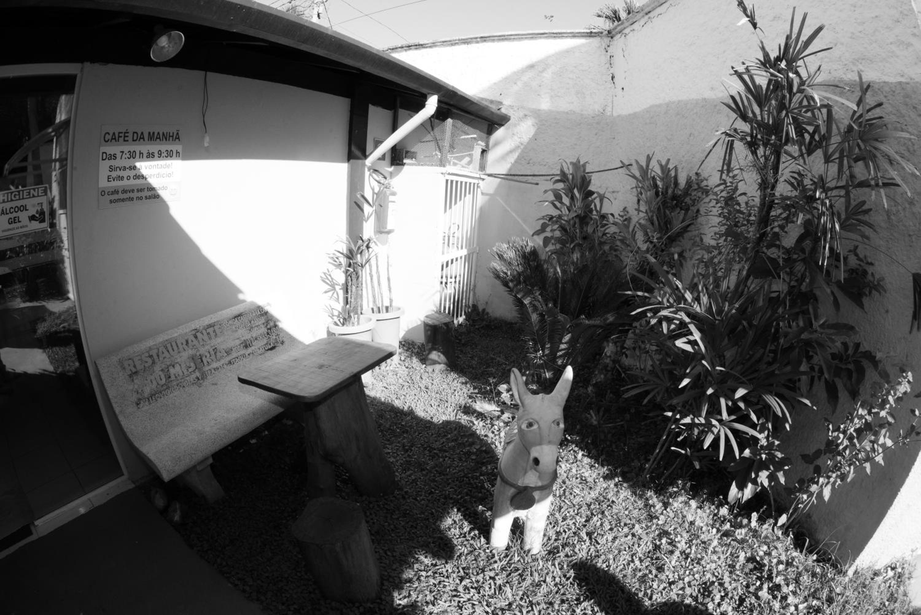 Photo 54