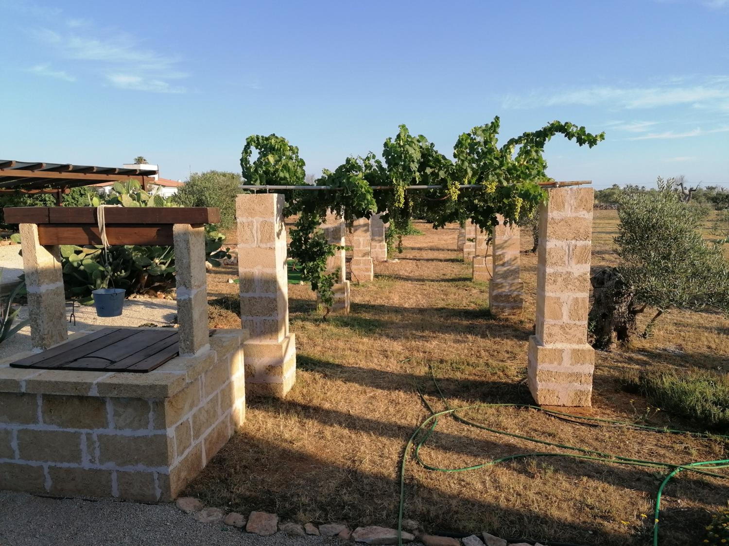 Villa Le Site