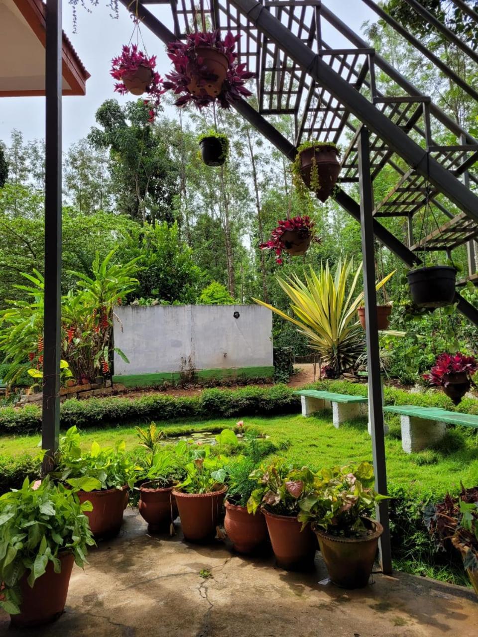 Bluebell homestay view 5