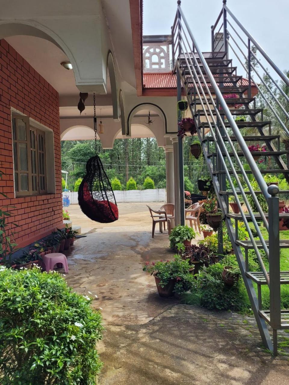Bluebell homestay view 4