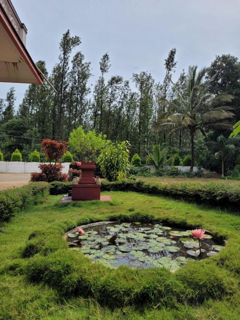 Bluebell homestay view 2