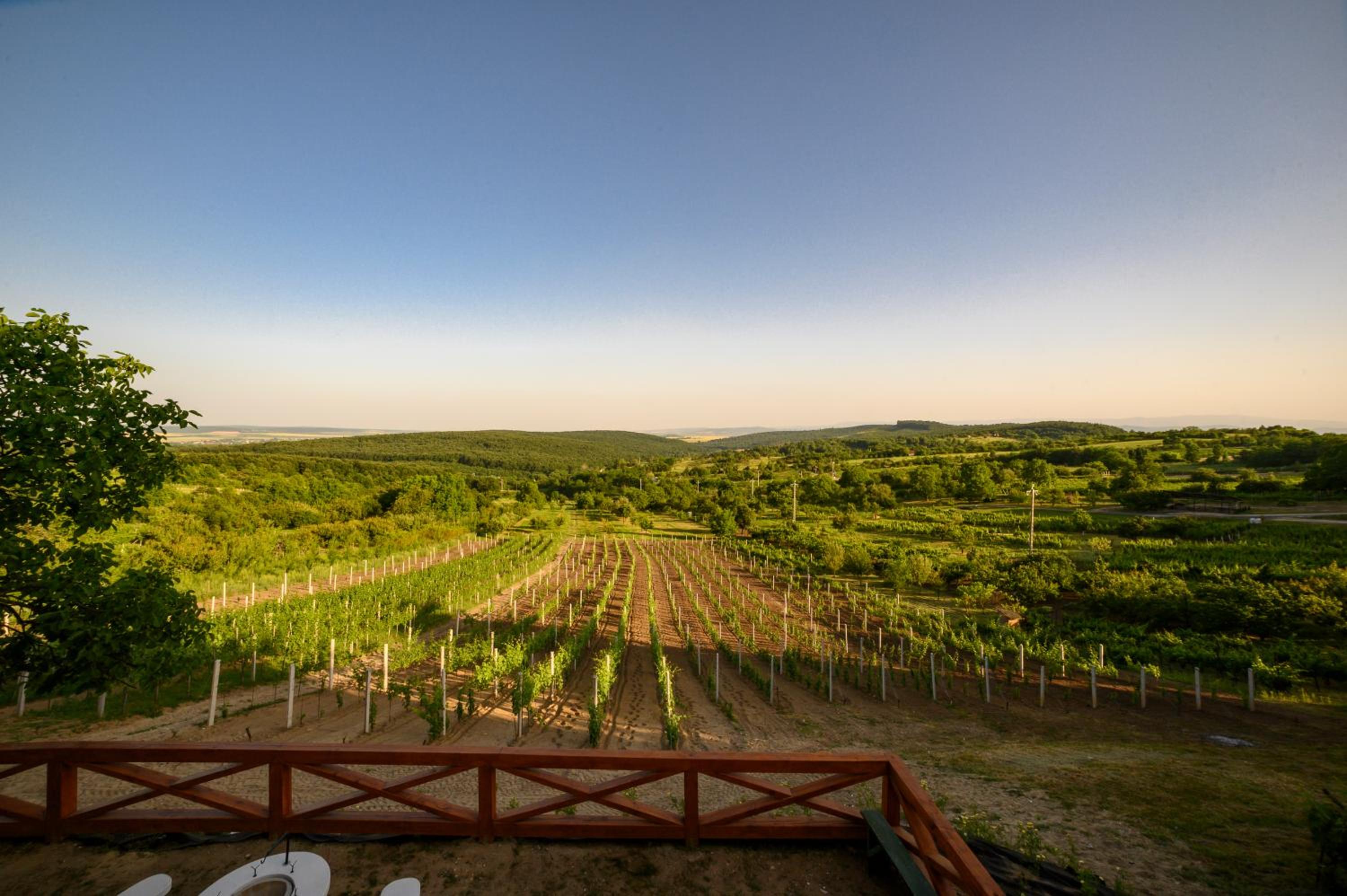 Edelin Wine House view 3