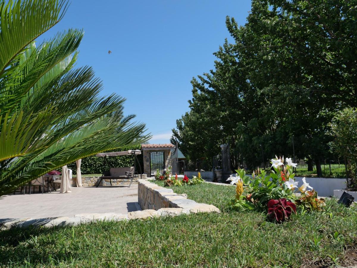 Photo 25
