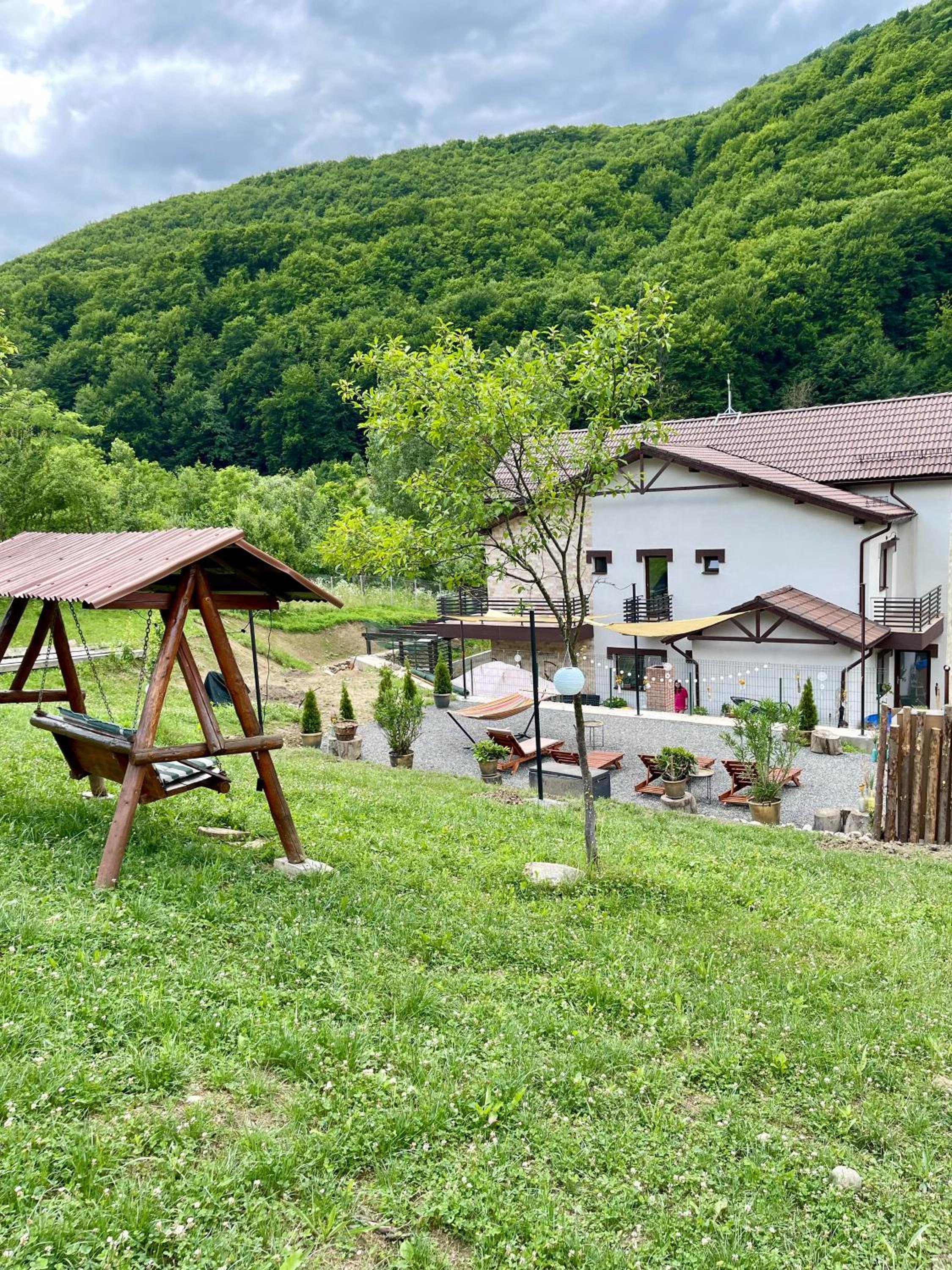 Pensiunea Berg Hill view 2