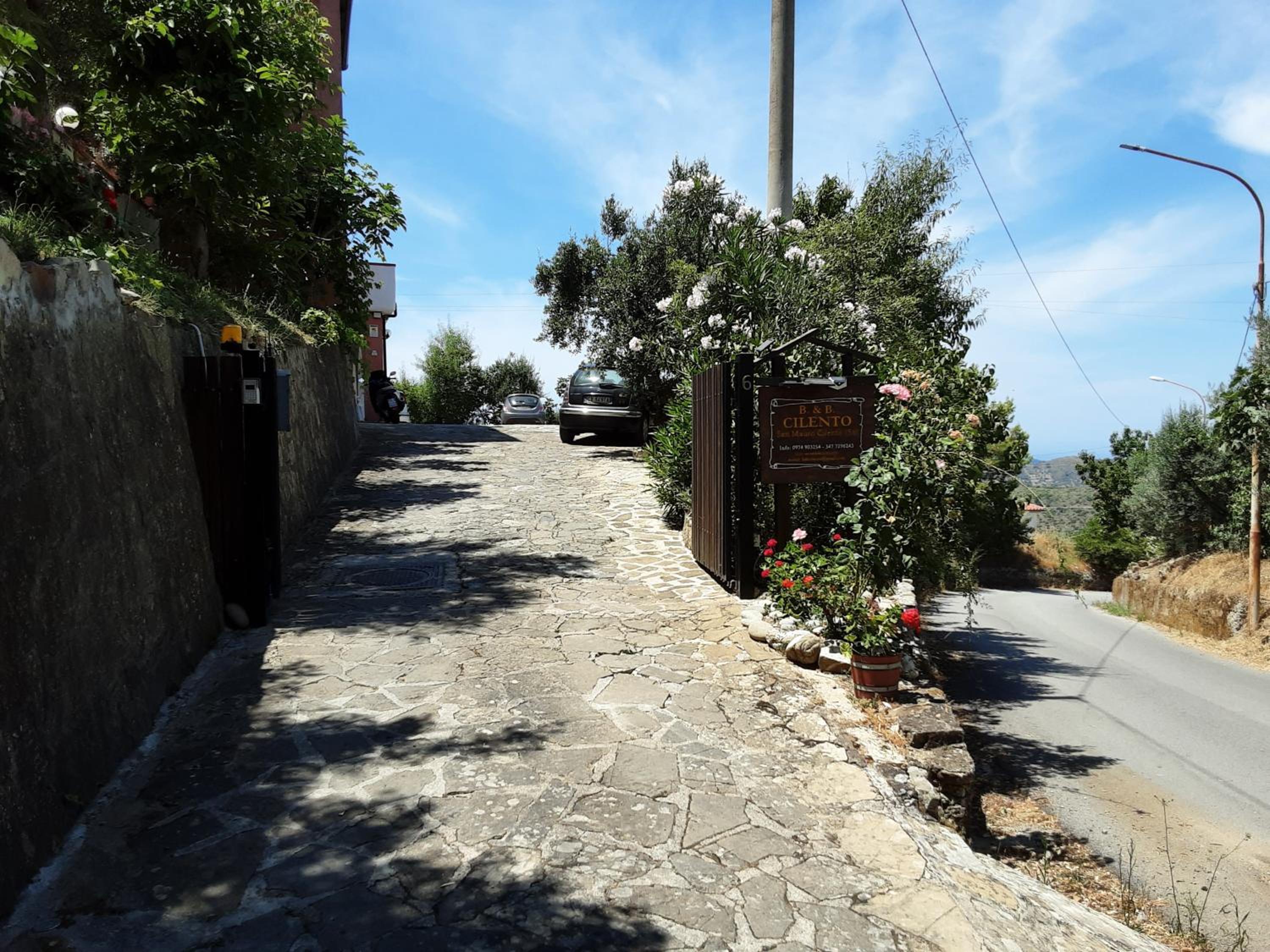 Photo 37