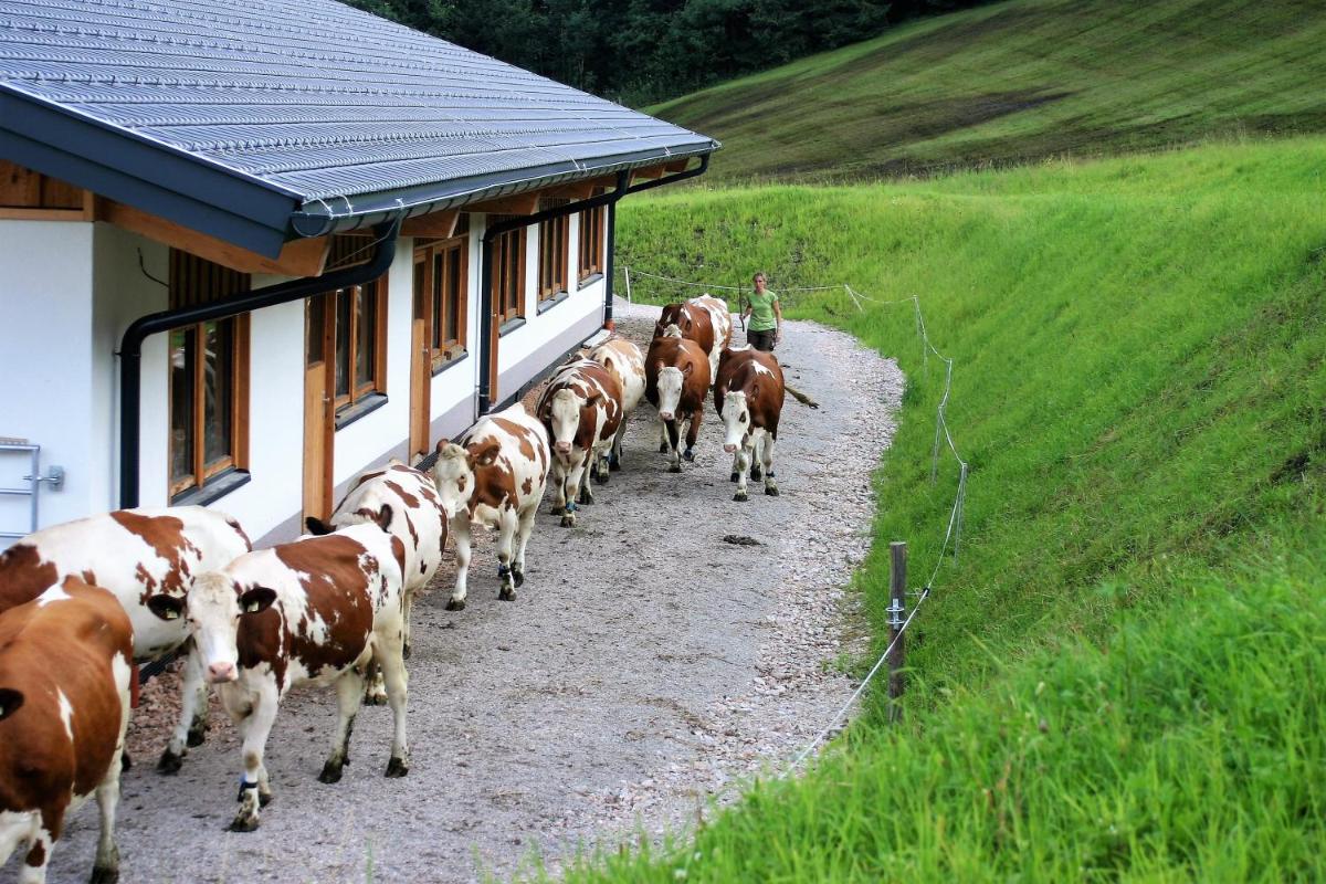 Schartlhof