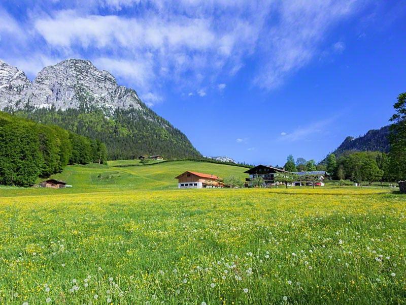 Scheffaulehen Ferienwohnungen view 2