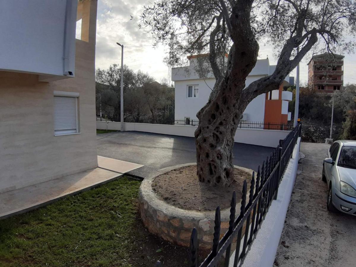 Olive view 4