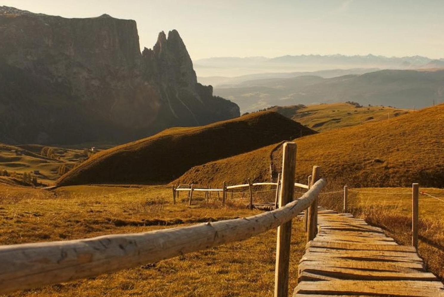 Mysciliar Apartment Tree I view 3