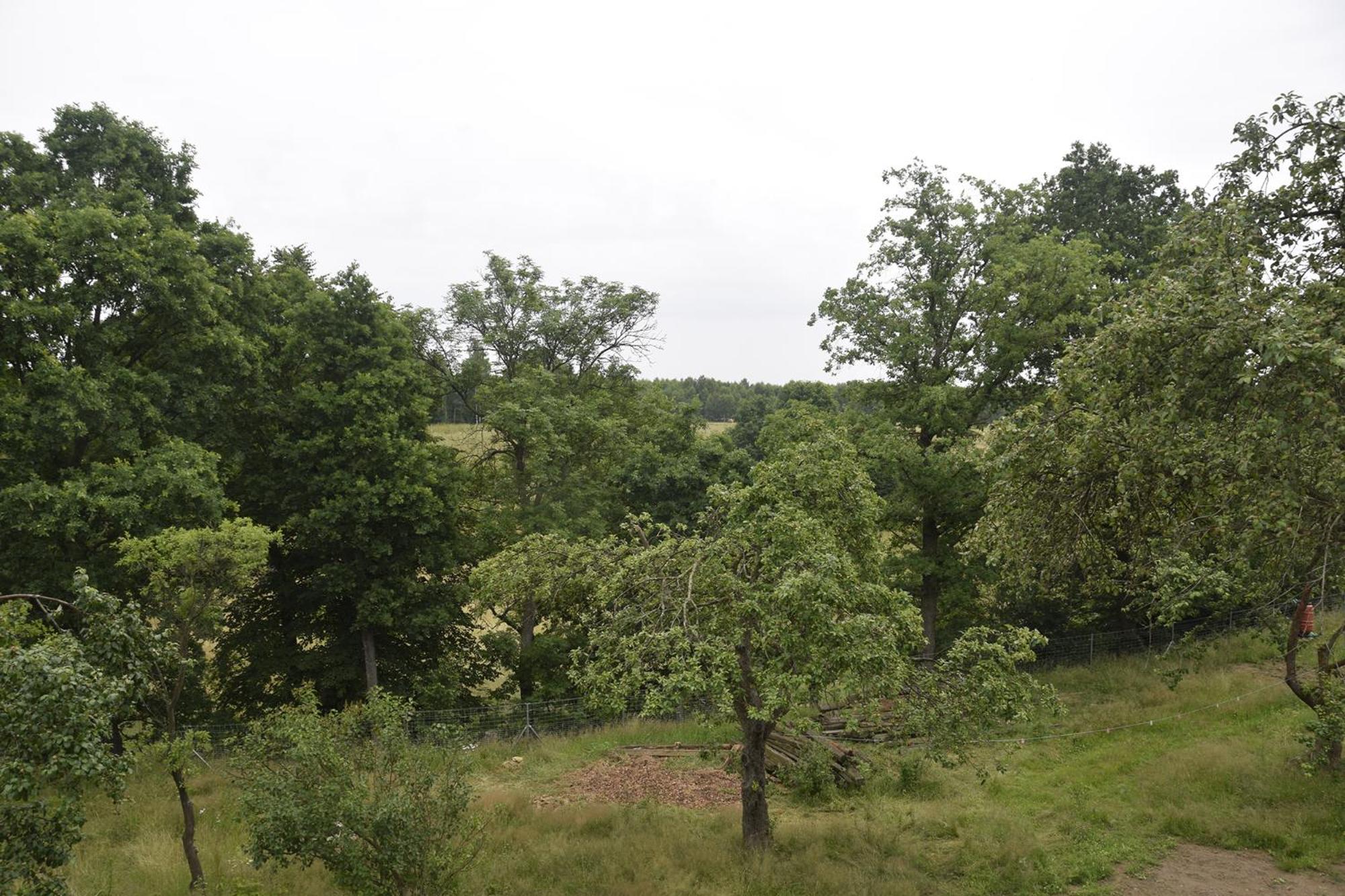 Photo 28