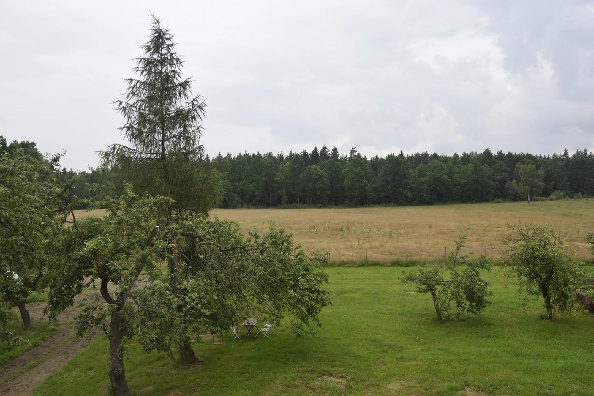 Photo 23