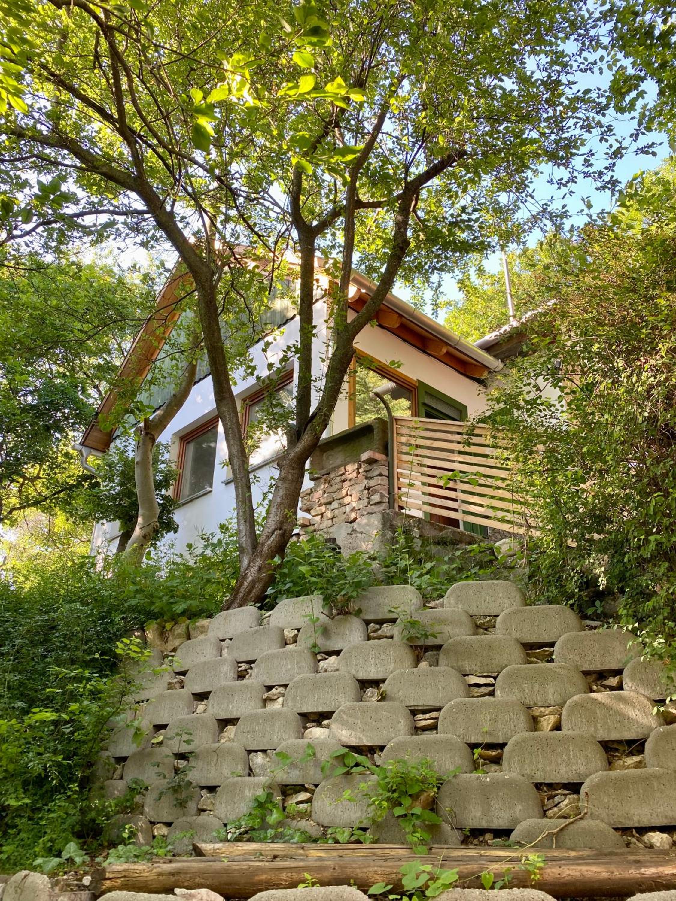 Rustic Cottage & Garden Retreat on Buda Hilltop view 2