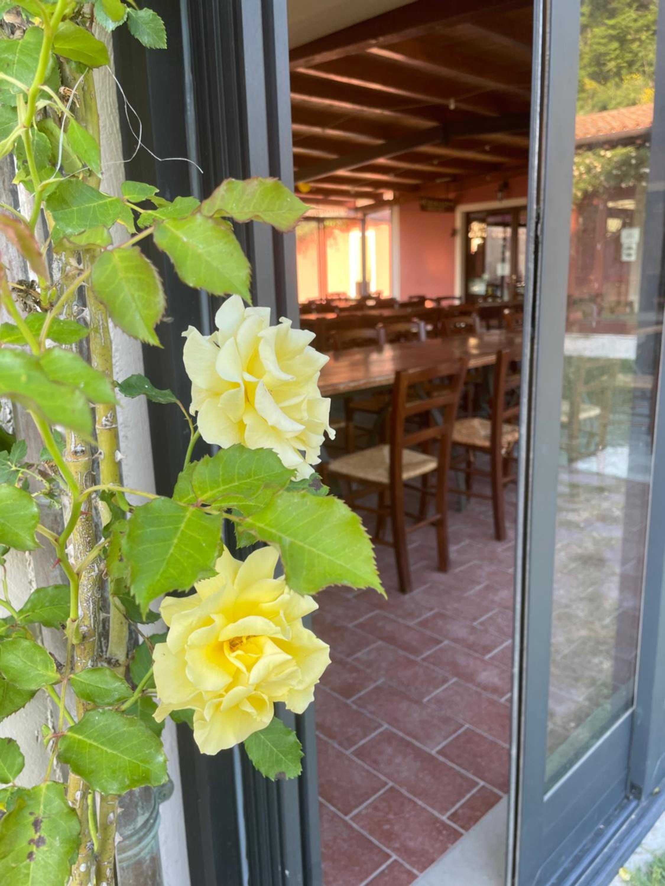 Agriturismo La Vita è Bella
