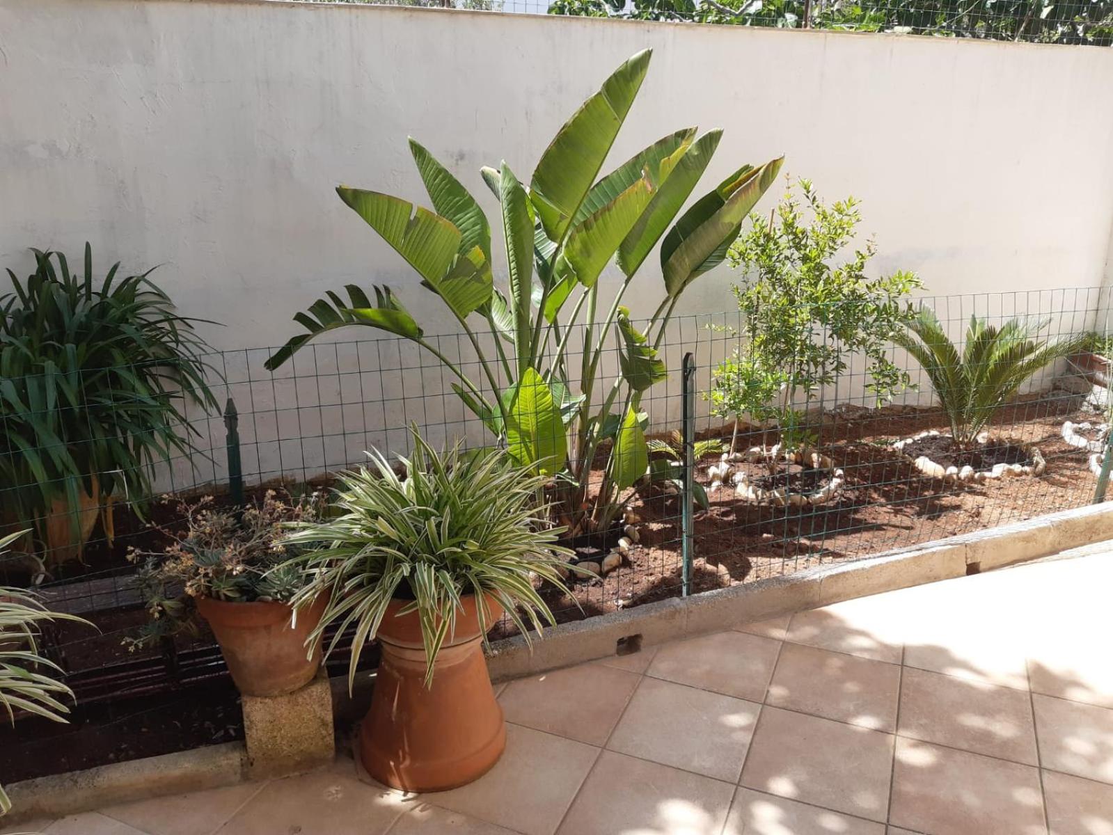 other