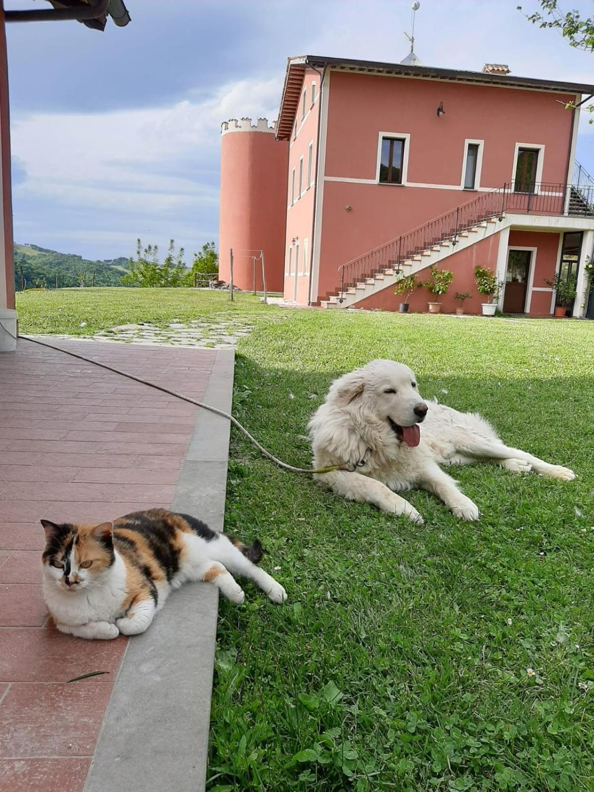 Agriturismo La Vita è Bella