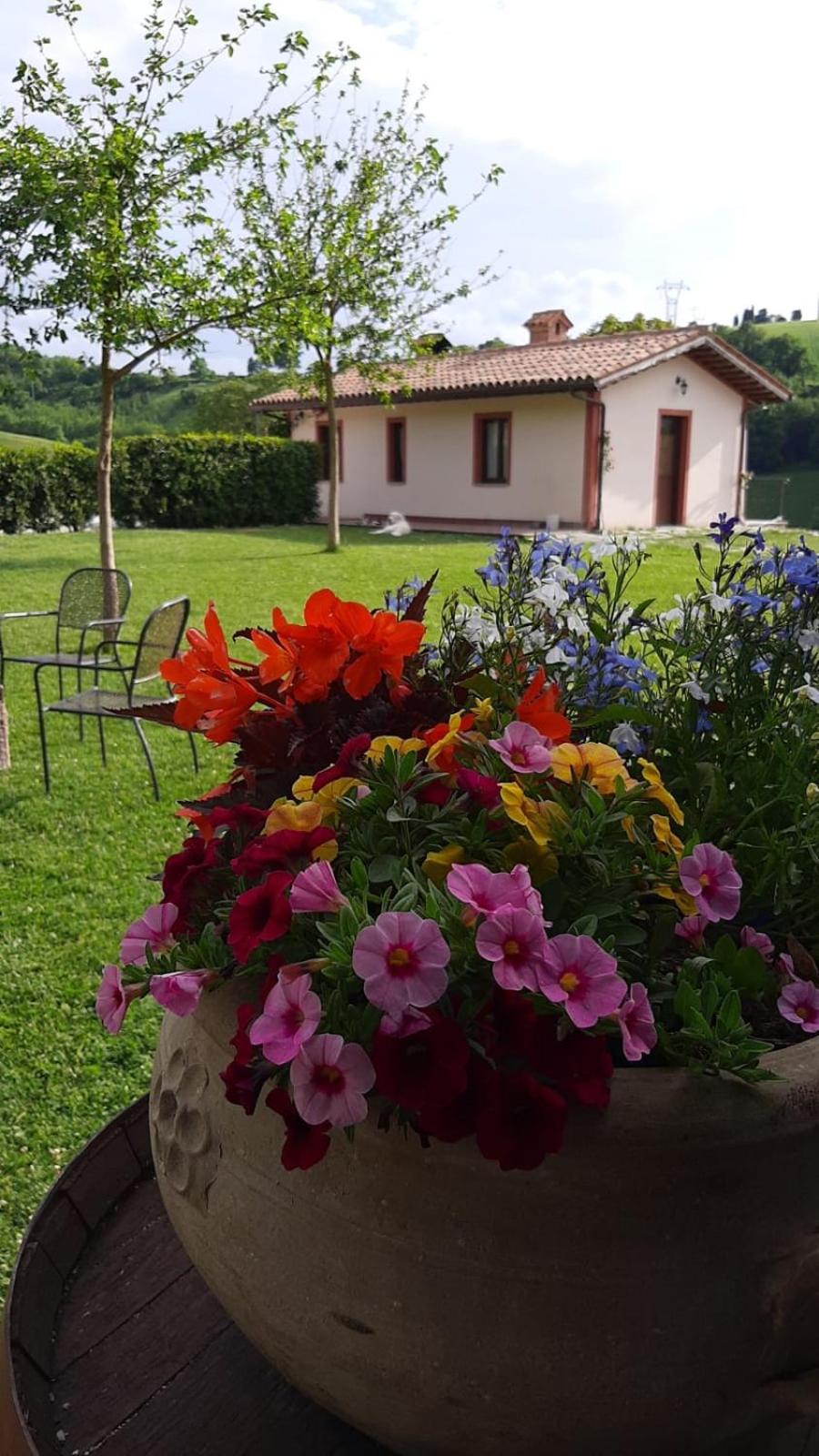 Agriturismo La Vita è Bella