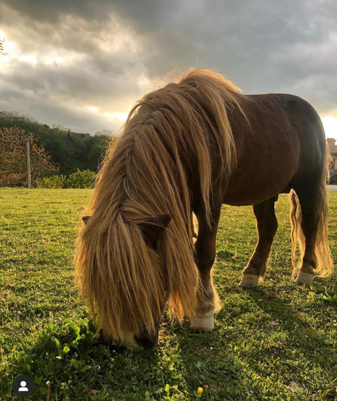 Agriturismo La Vita è Bella