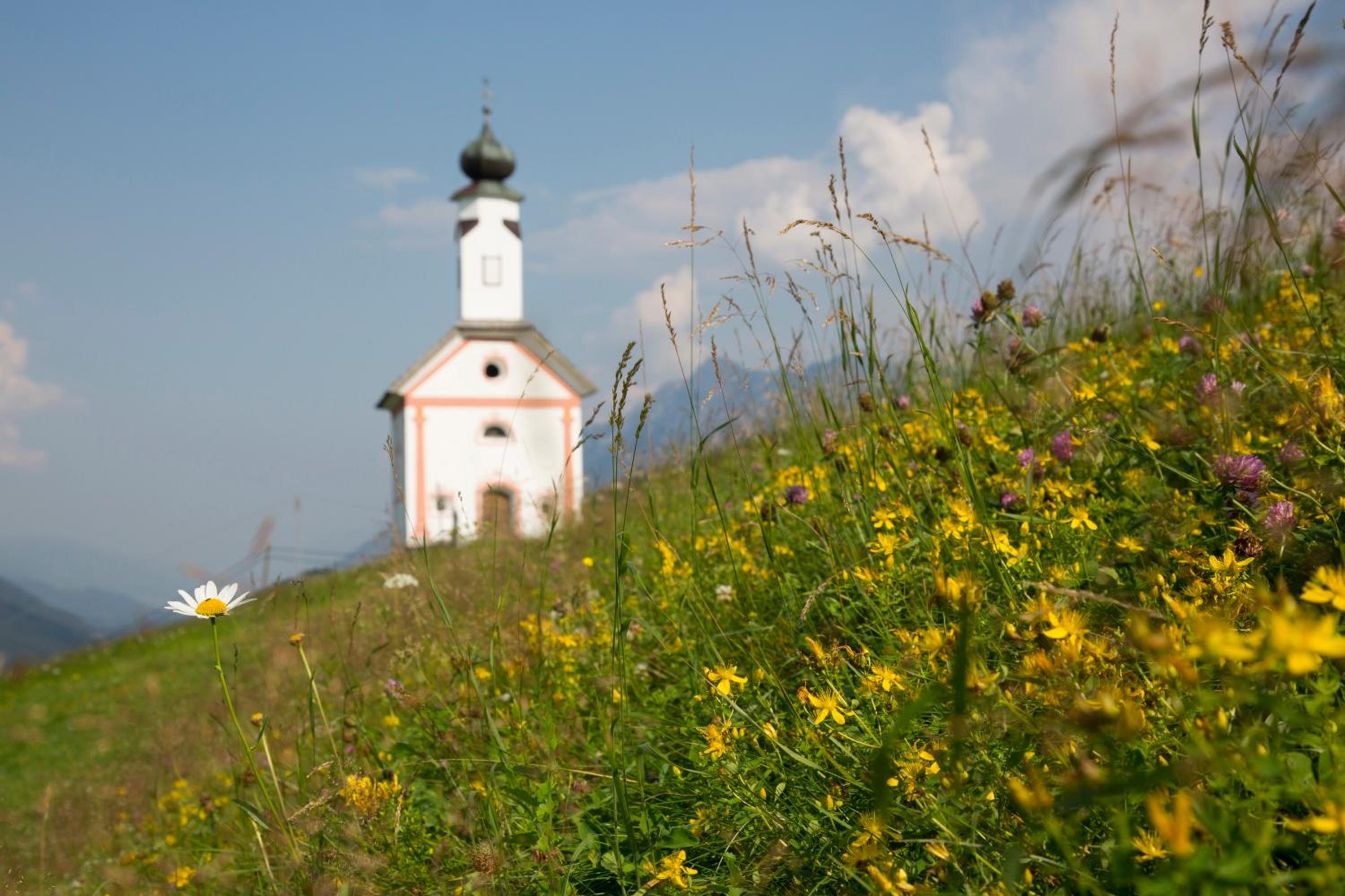 Stembergerhof - Urlaub am Bauerhof