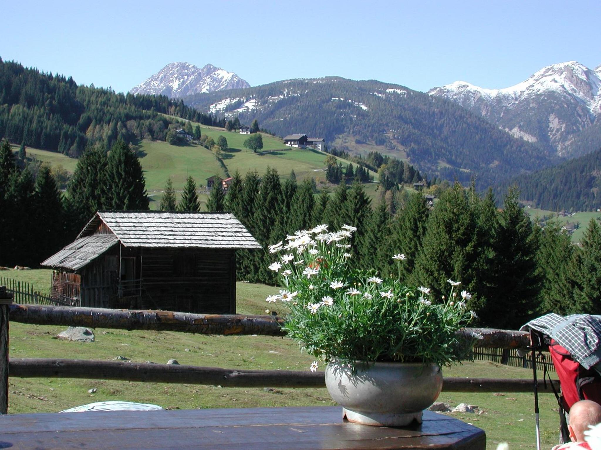 Stembergerhof - Urlaub am Bauerhof