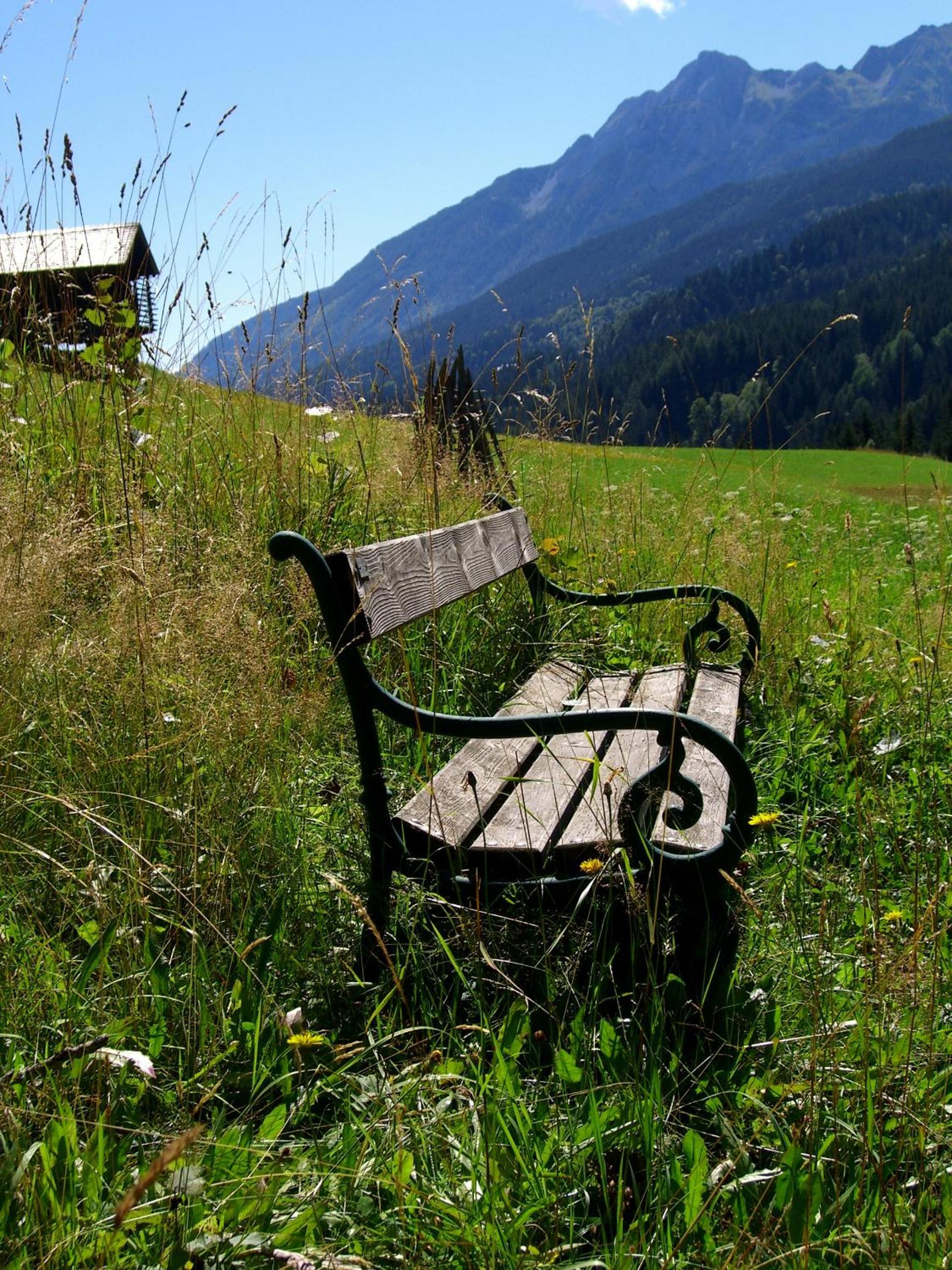 Stembergerhof - Urlaub am Bauerhof