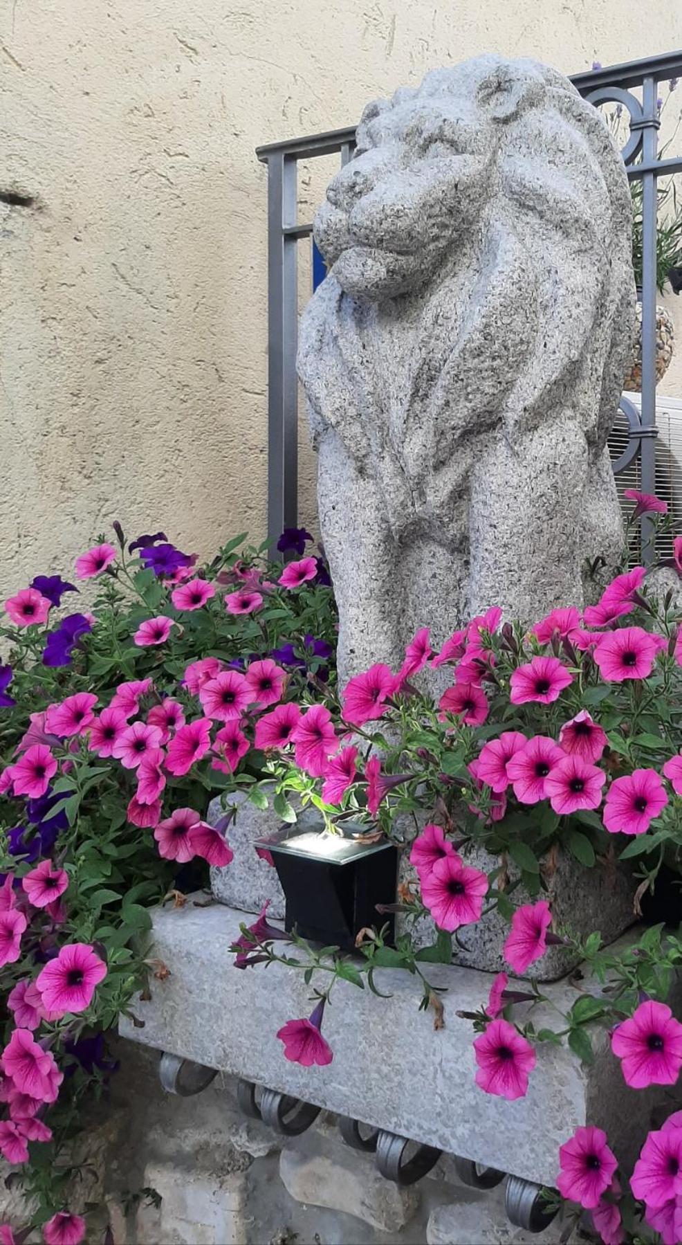Photo 22