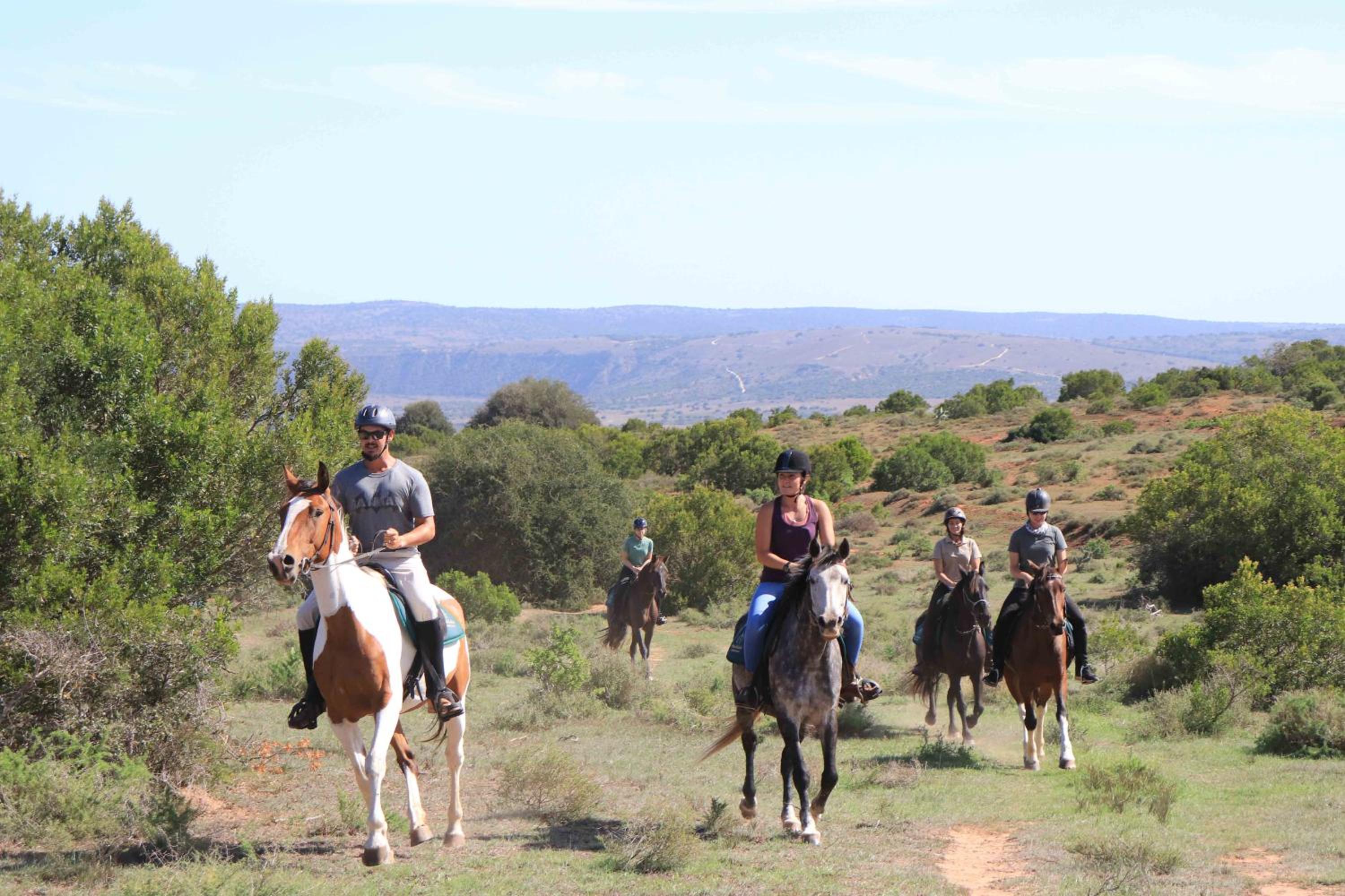 Woodbury Lodge – Amakhala Game Reserve