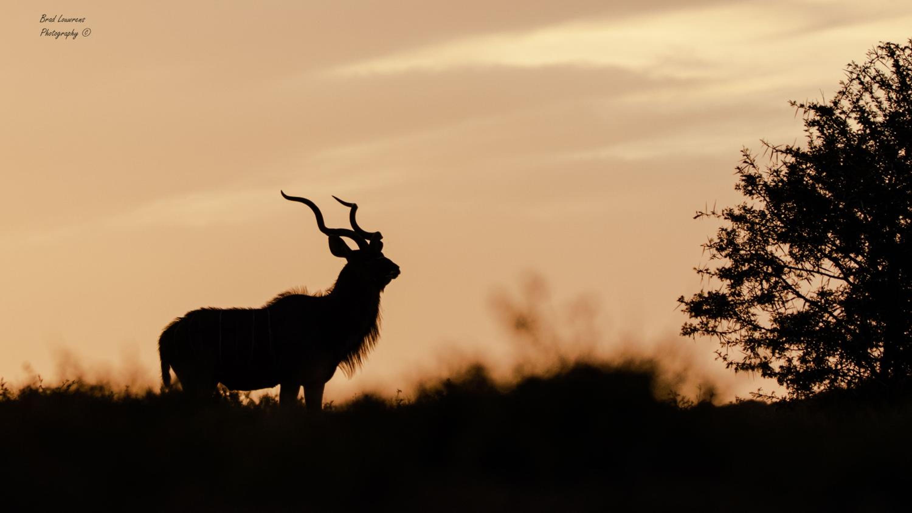 Woodbury Lodge – Amakhala Game Reserve