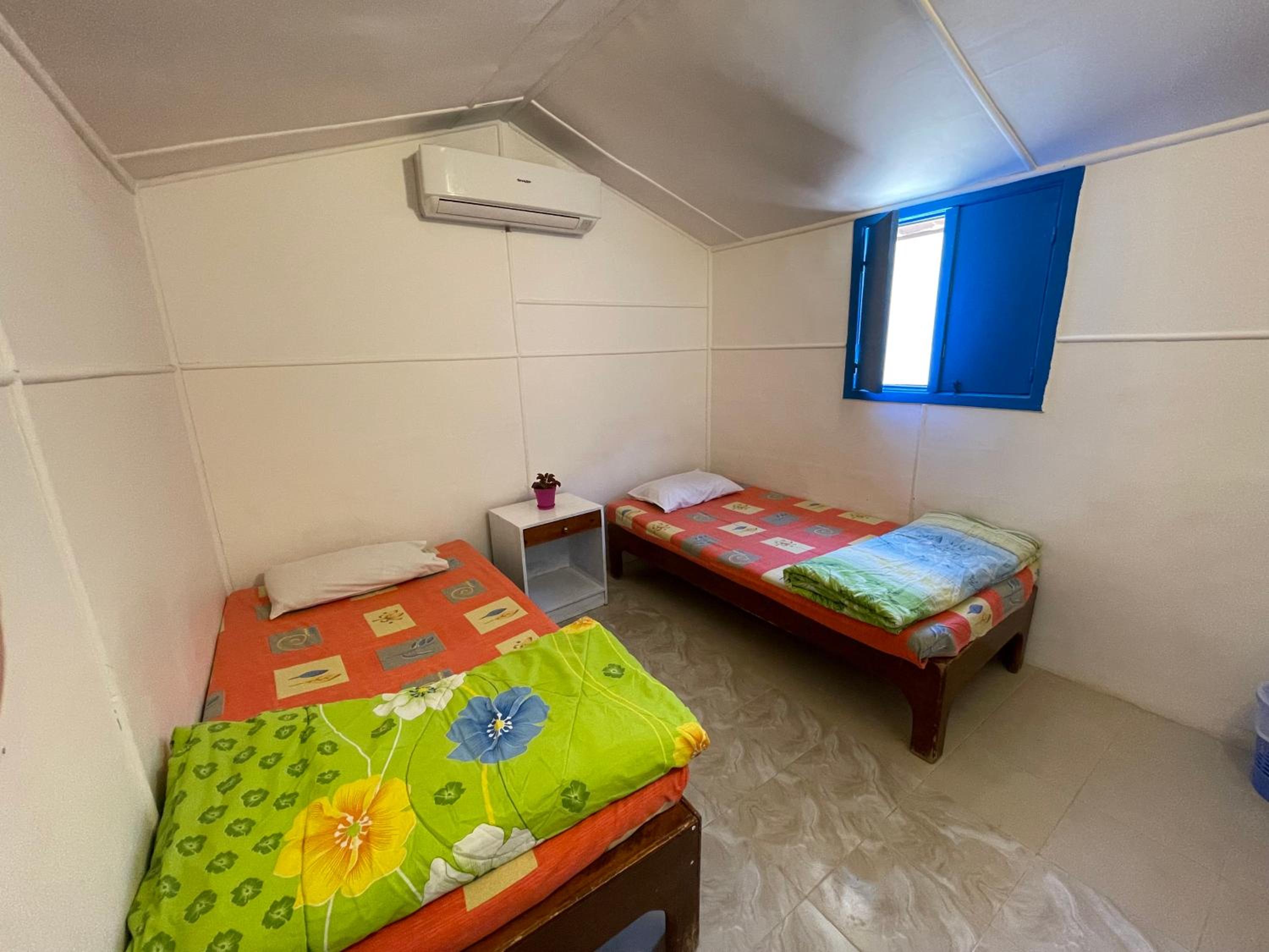 Dolphin Camp