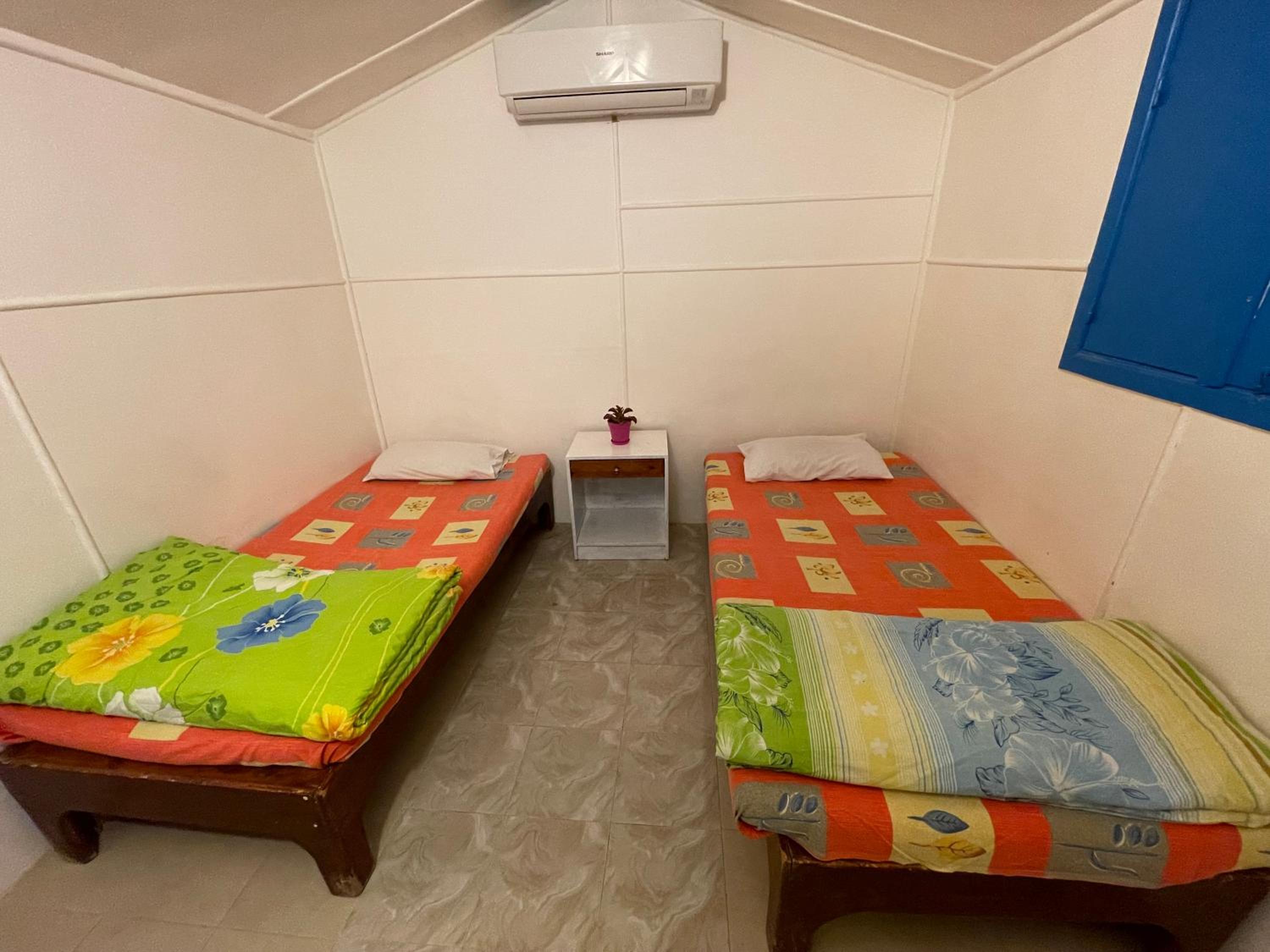Dolphin Camp