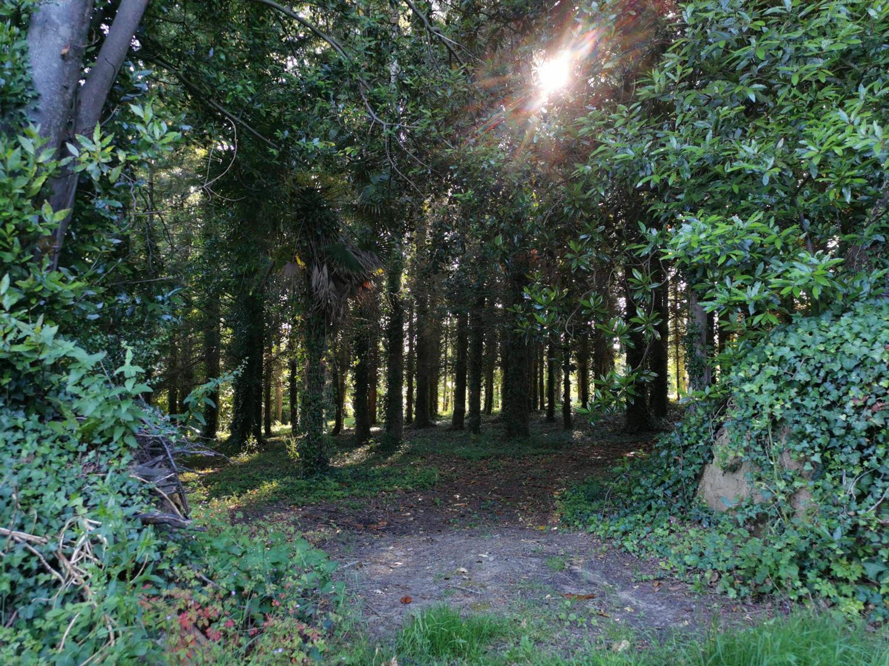 Photo 43
