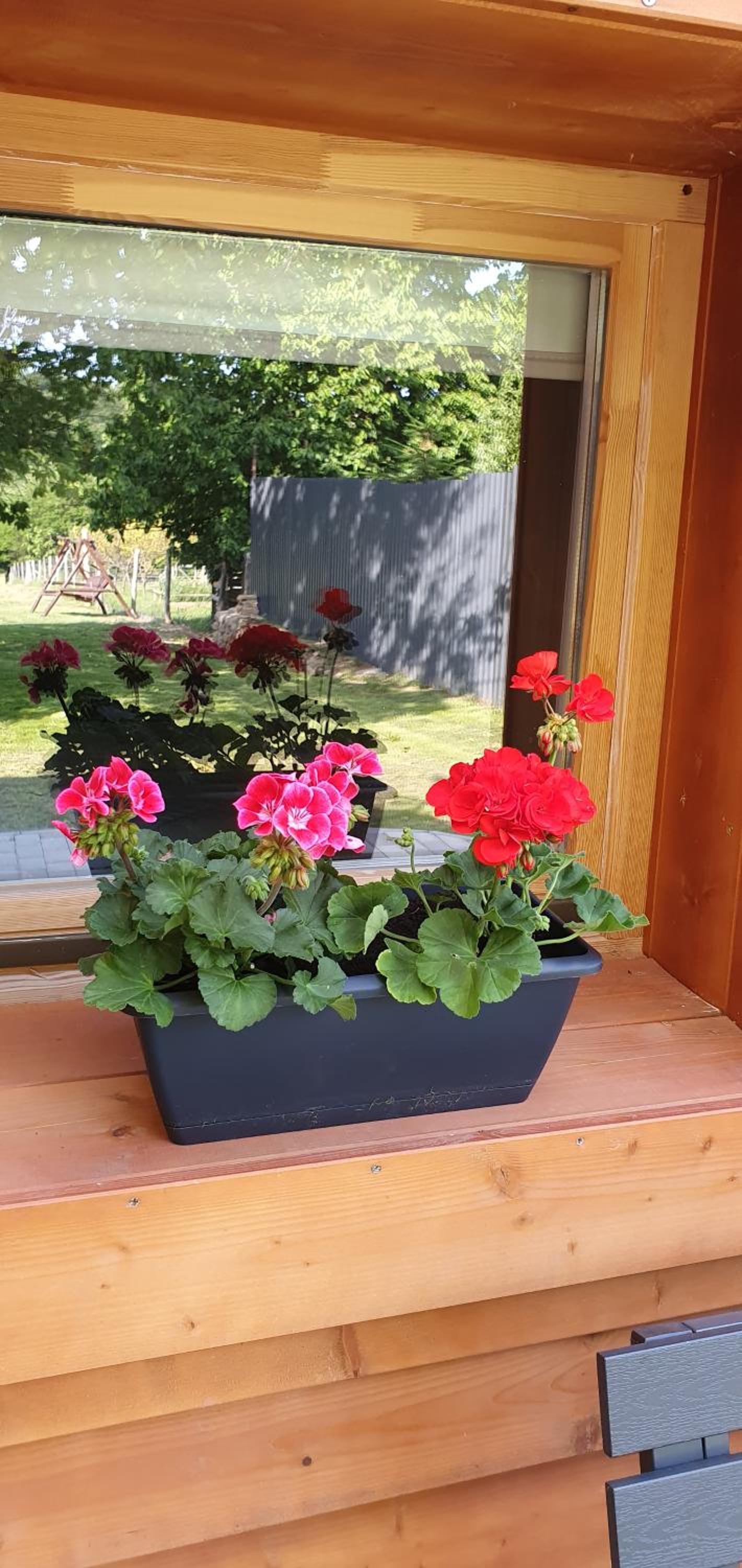 Family Wellness Jacuzzi Sauna Wood Fired Hot Tub 8 Min from Heviz view 5