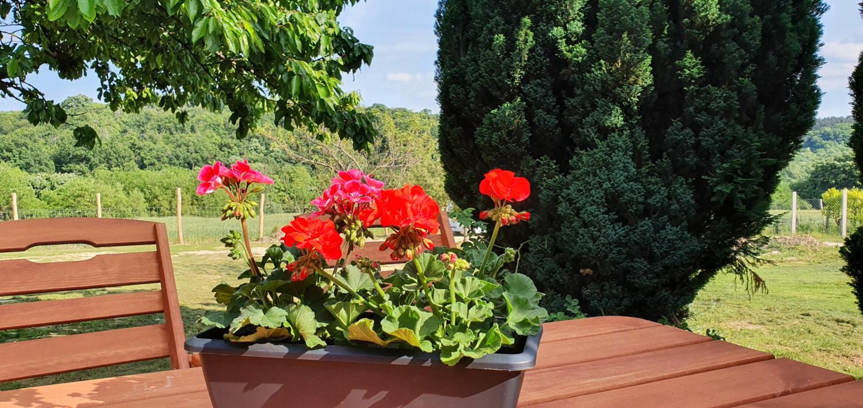 Family Wellness Jacuzzi Sauna Wood Fired Hot Tub 8 Min from Heviz view 4