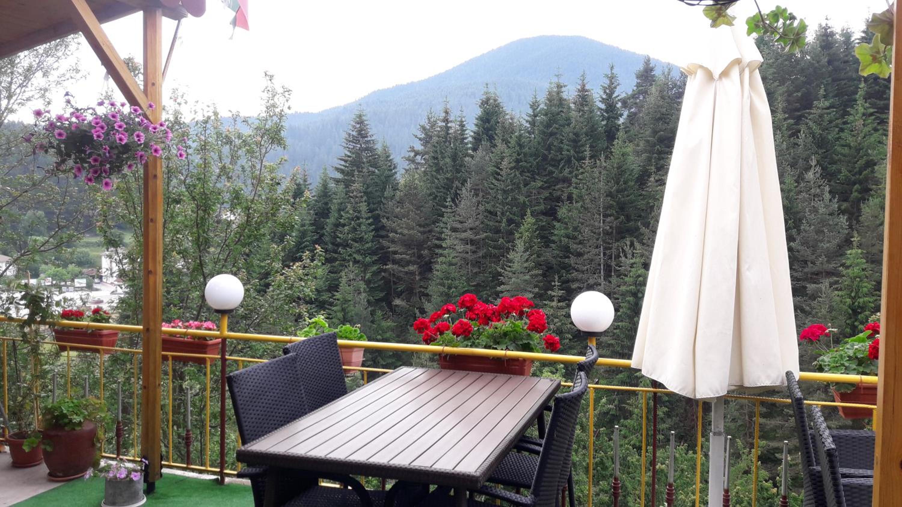 Guest House Stoletnika