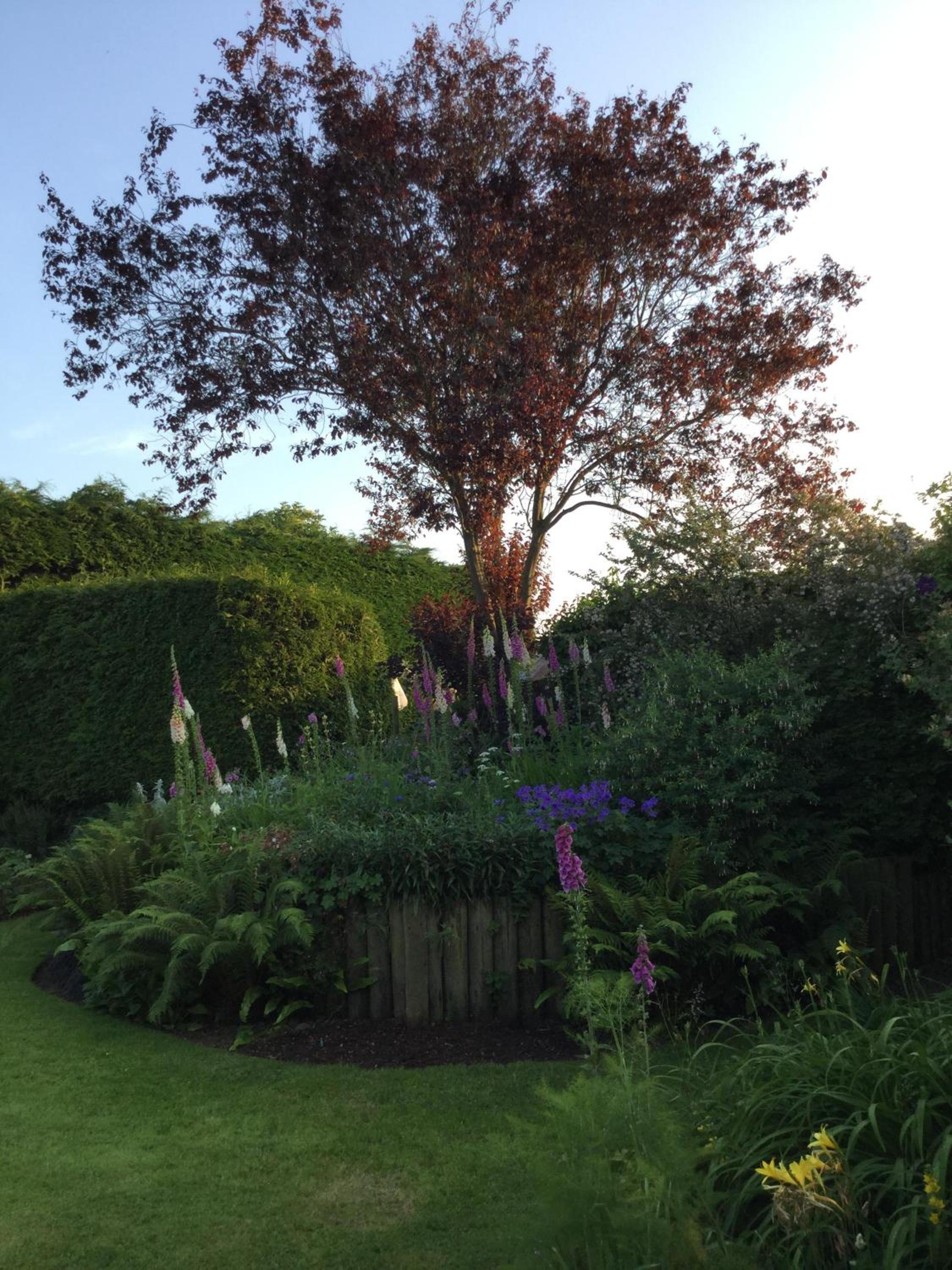 Photo 14
