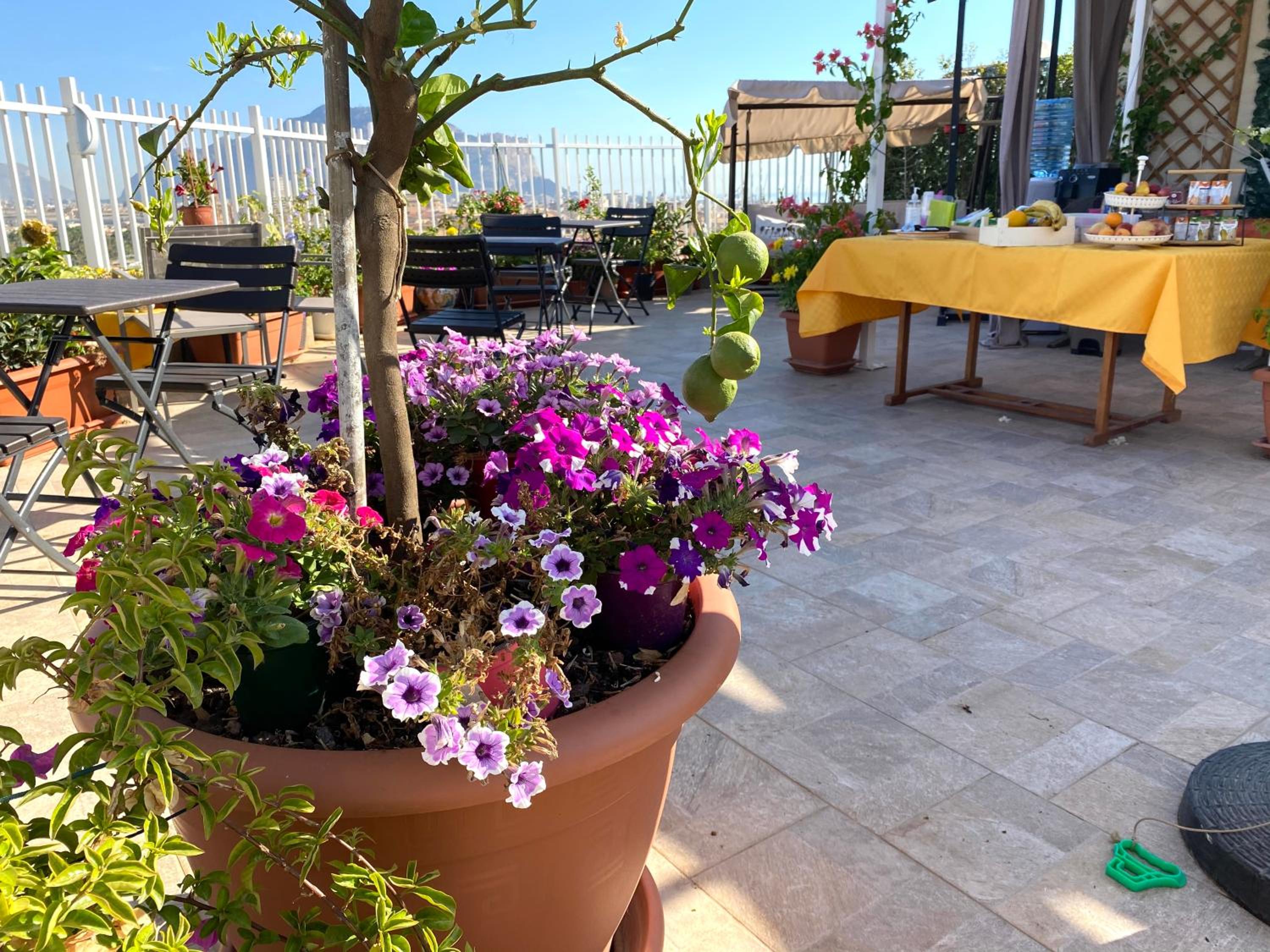 LeAlbe di Sicilia