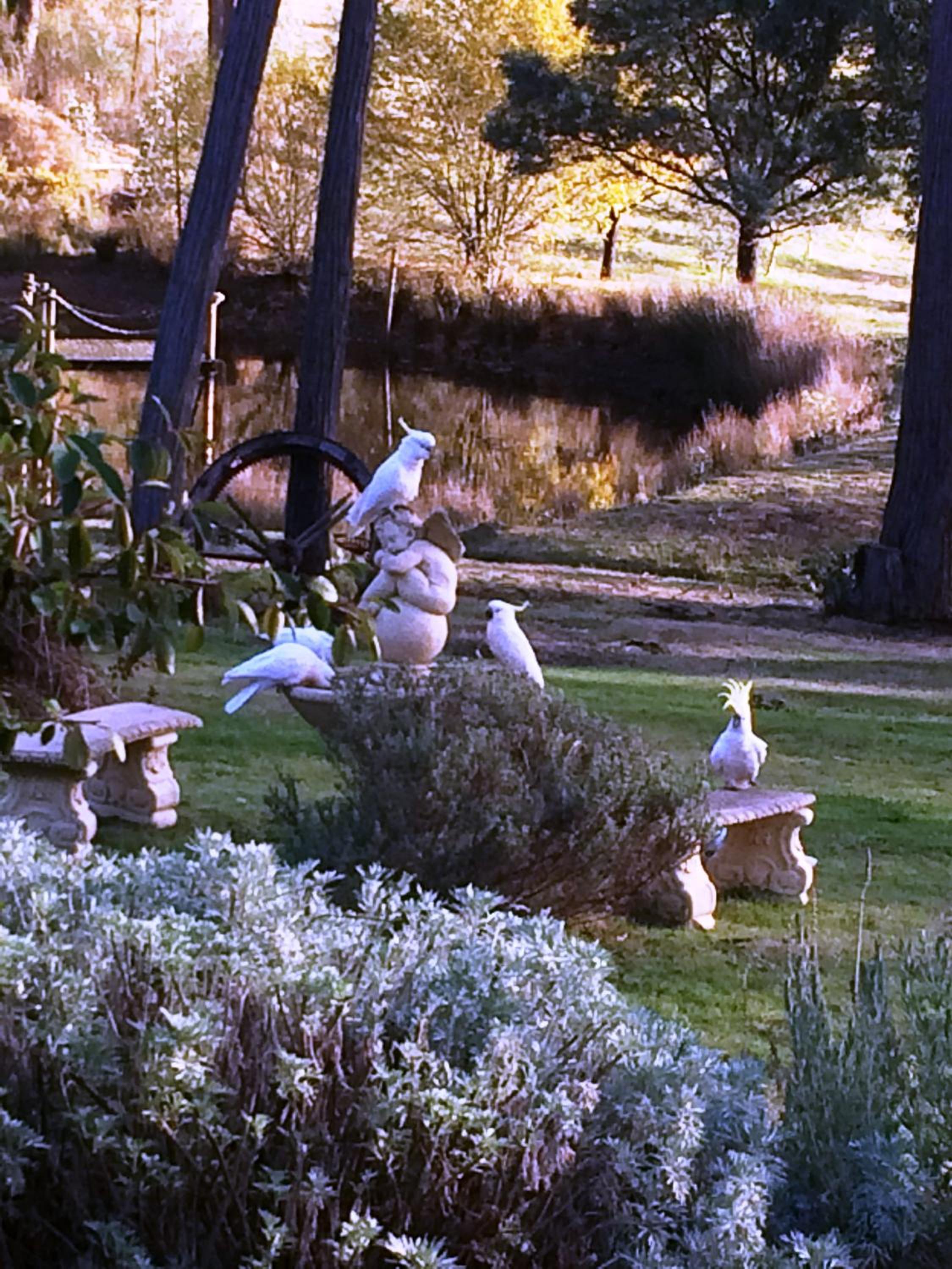 Countryside Retreat romantic tranquil native wildlife township Hepburn - Daylesford