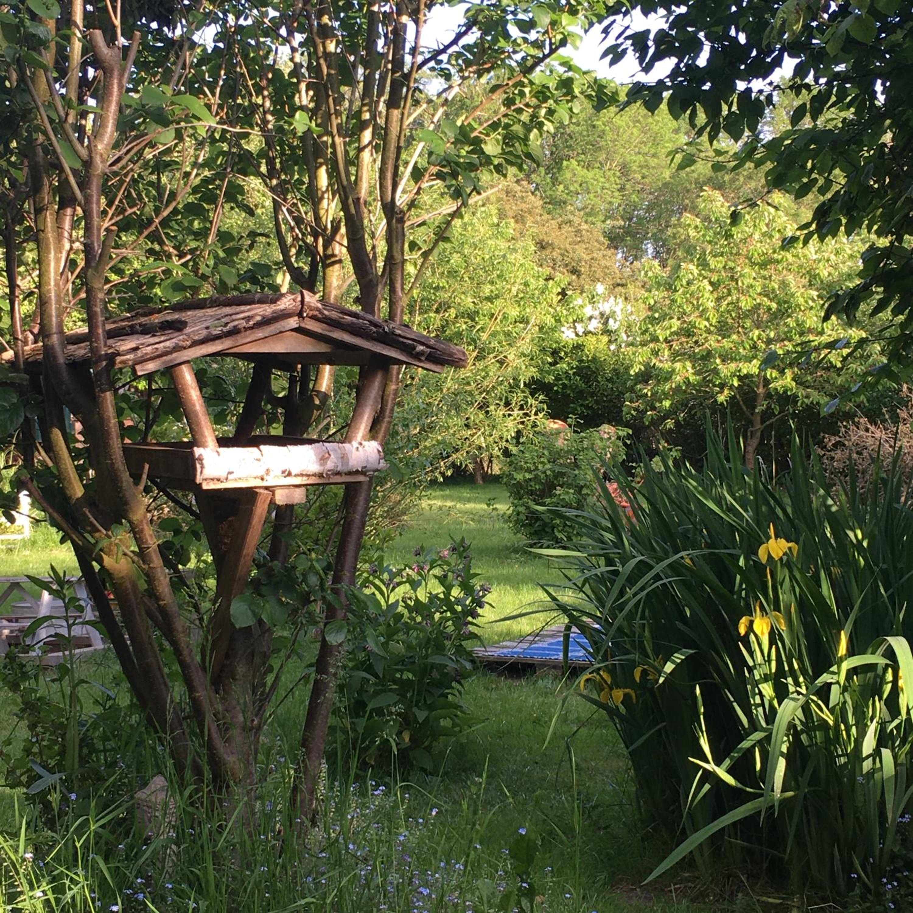 Alte Kate mit Bau-& Zirkuswagen im Gartenidyll in Putbus OT Kasnevitz