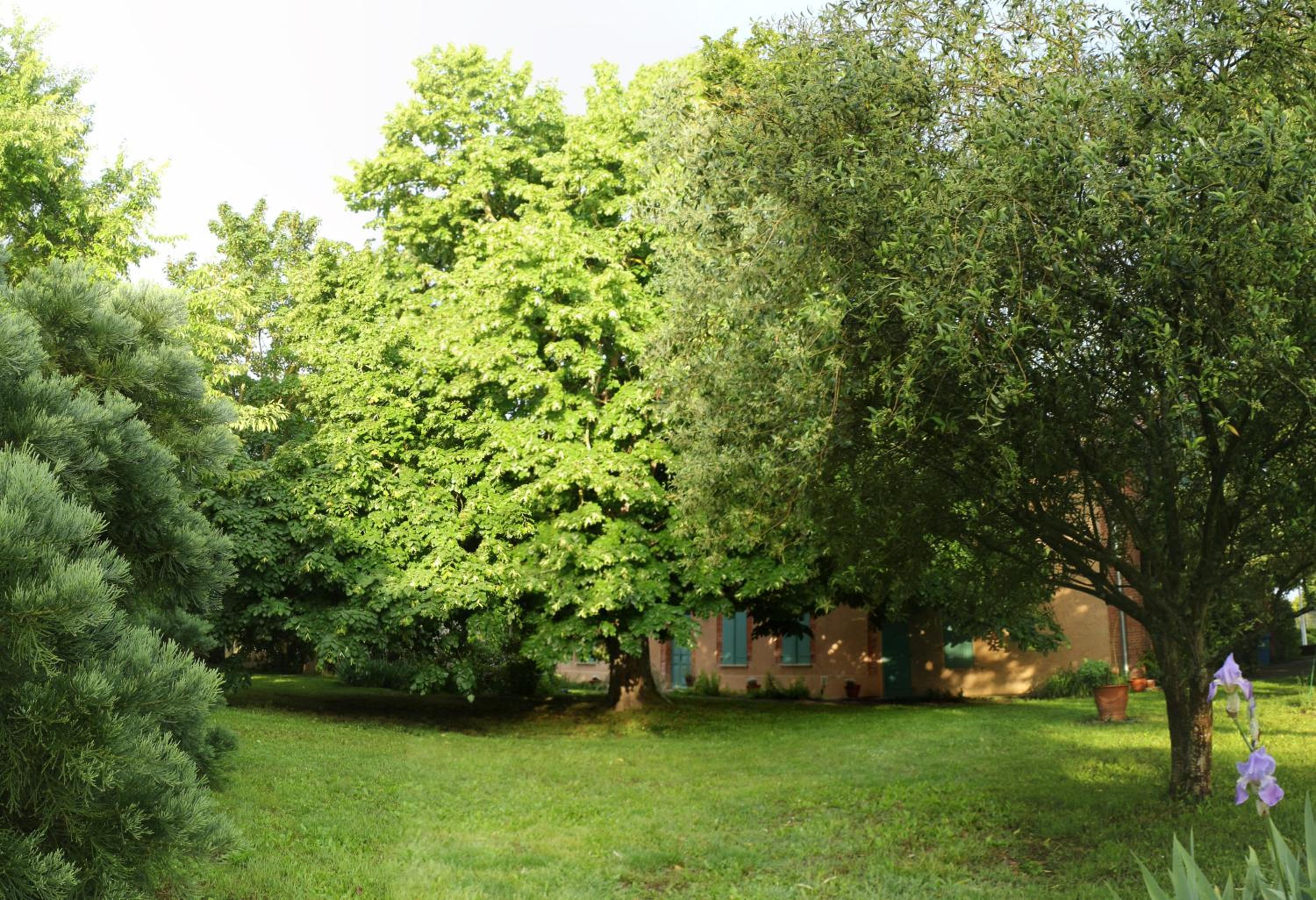 Photo 30