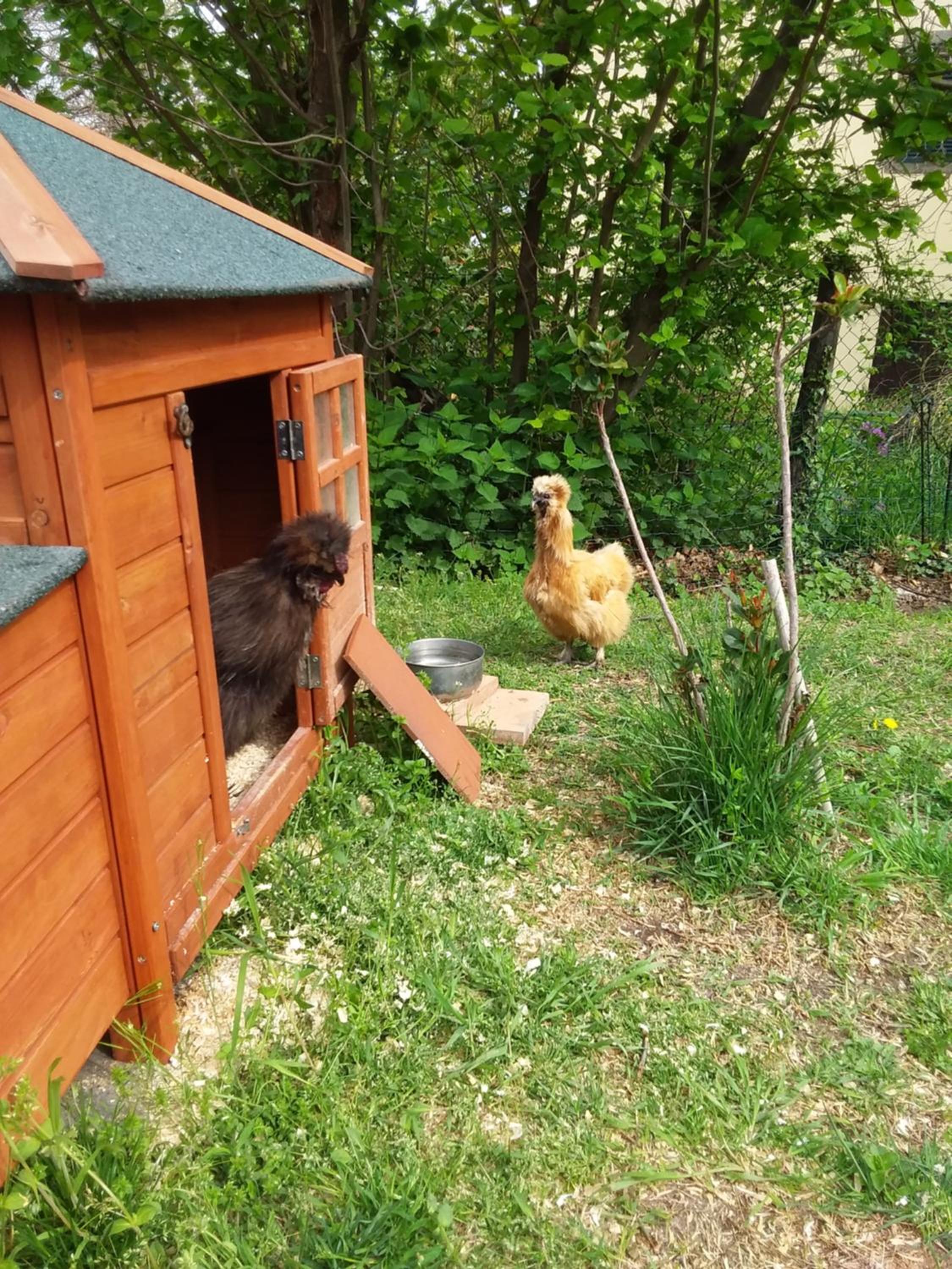 B&B Podere Legnotorto