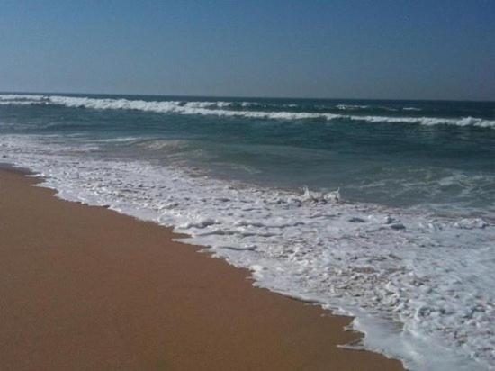 Apartment by the Beach Praia da Areia Branca view 2