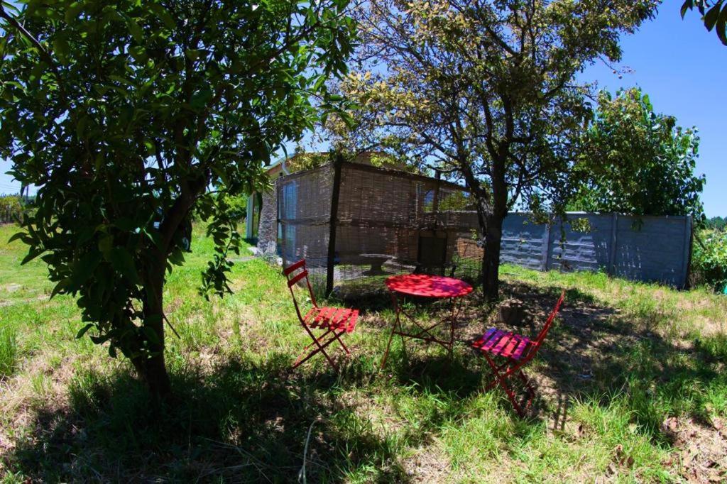 Cabaña Con Tinajas #2