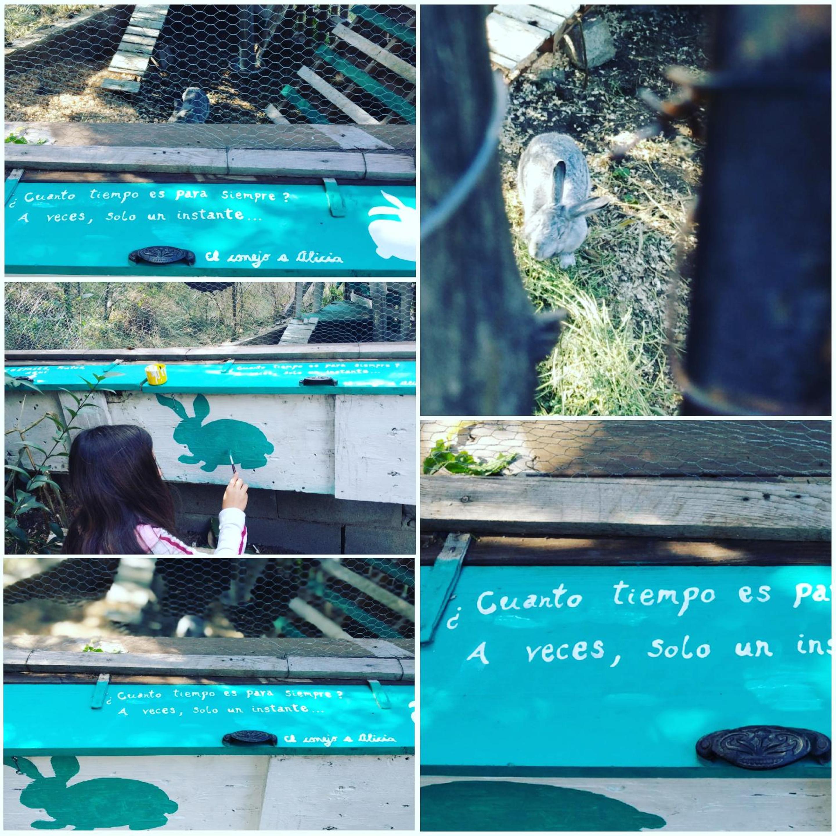 Altos del Pucara Piscina Climatizada vista a las sierras juegos Huerta Orgánica