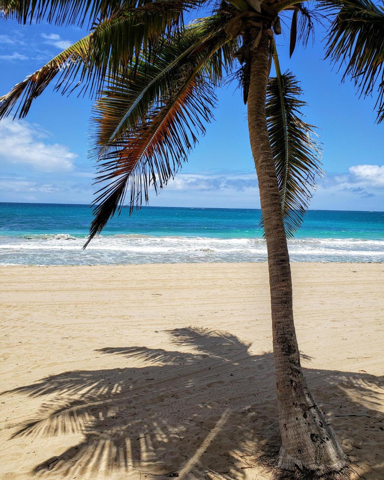 KASA Ocean Breeze - Cabana Studio Apartment BEACHFRONT CONDO POOL - Property Image 12