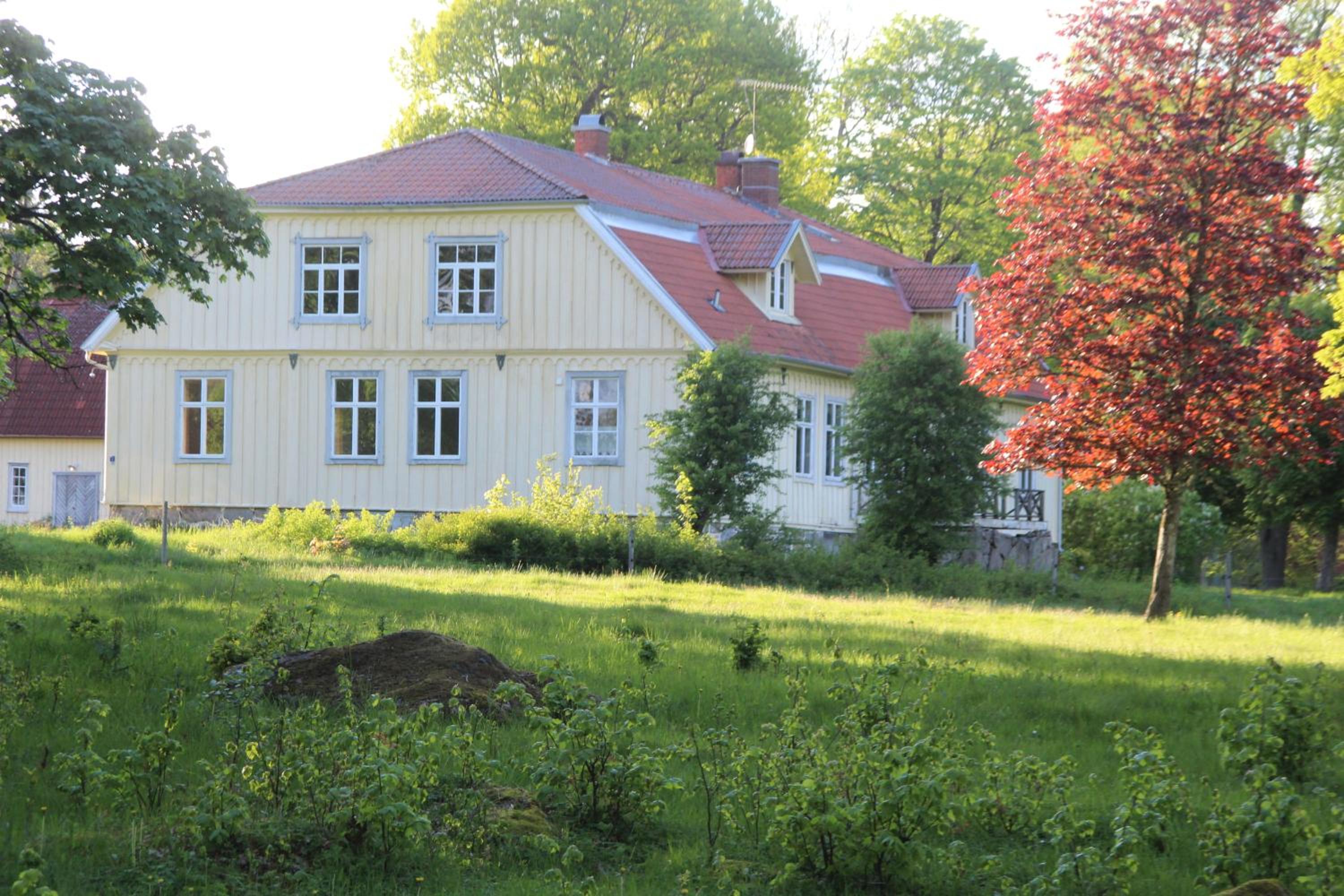 Photo 25
