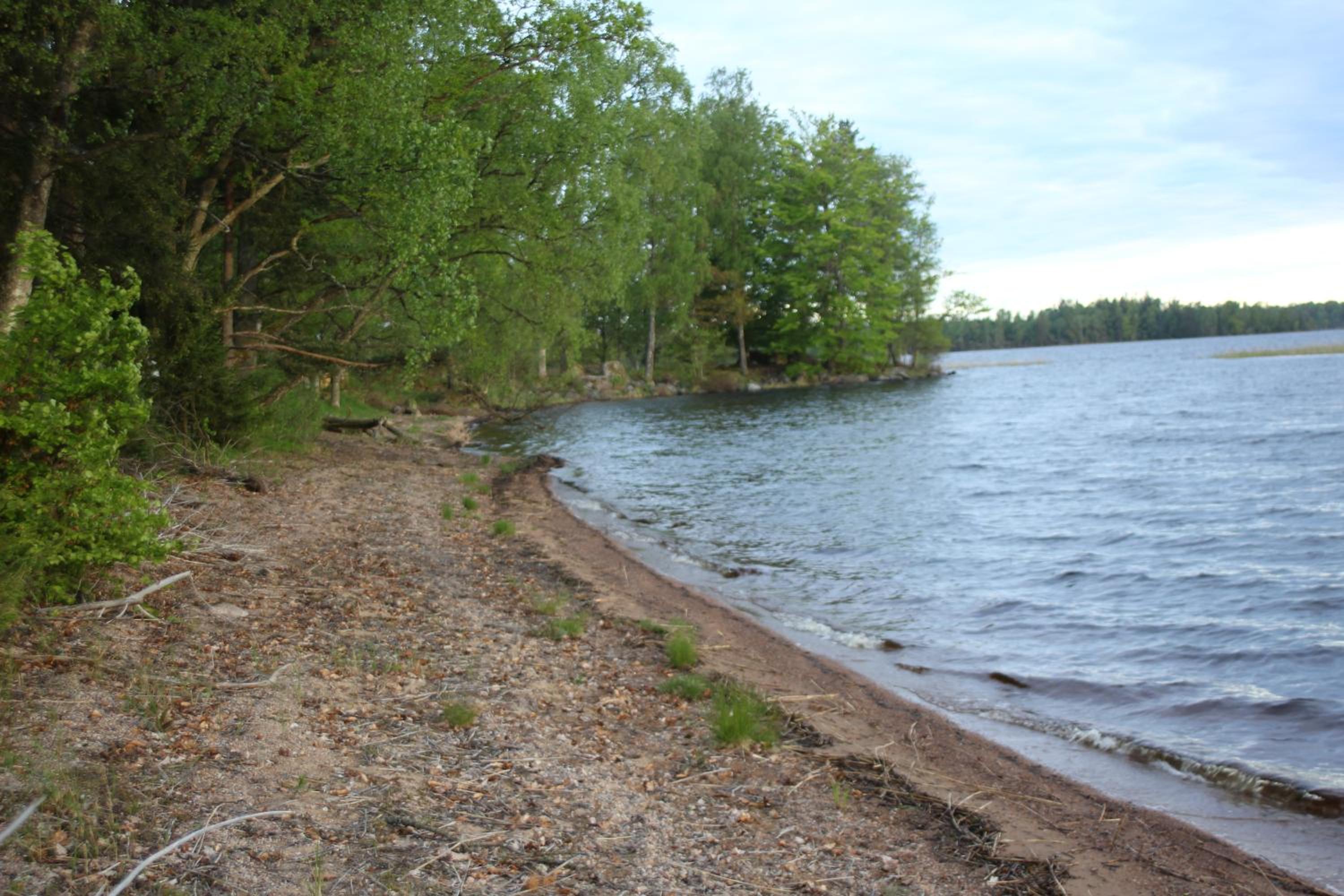 Photo 199