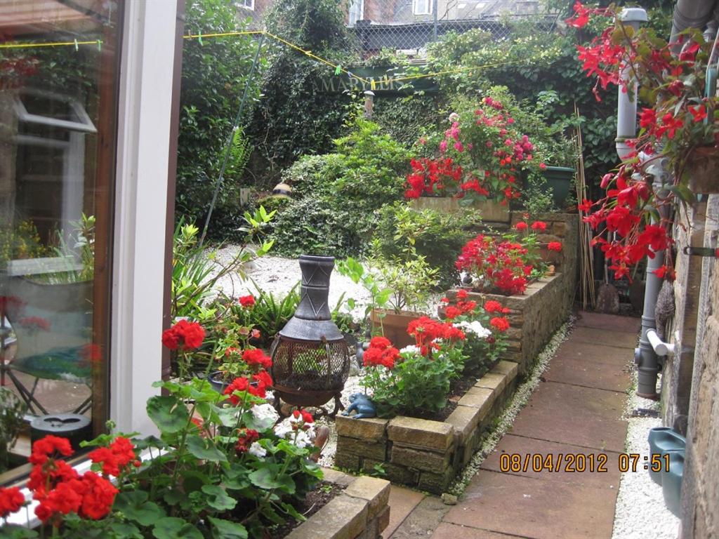 Amaryllis Guesthouse